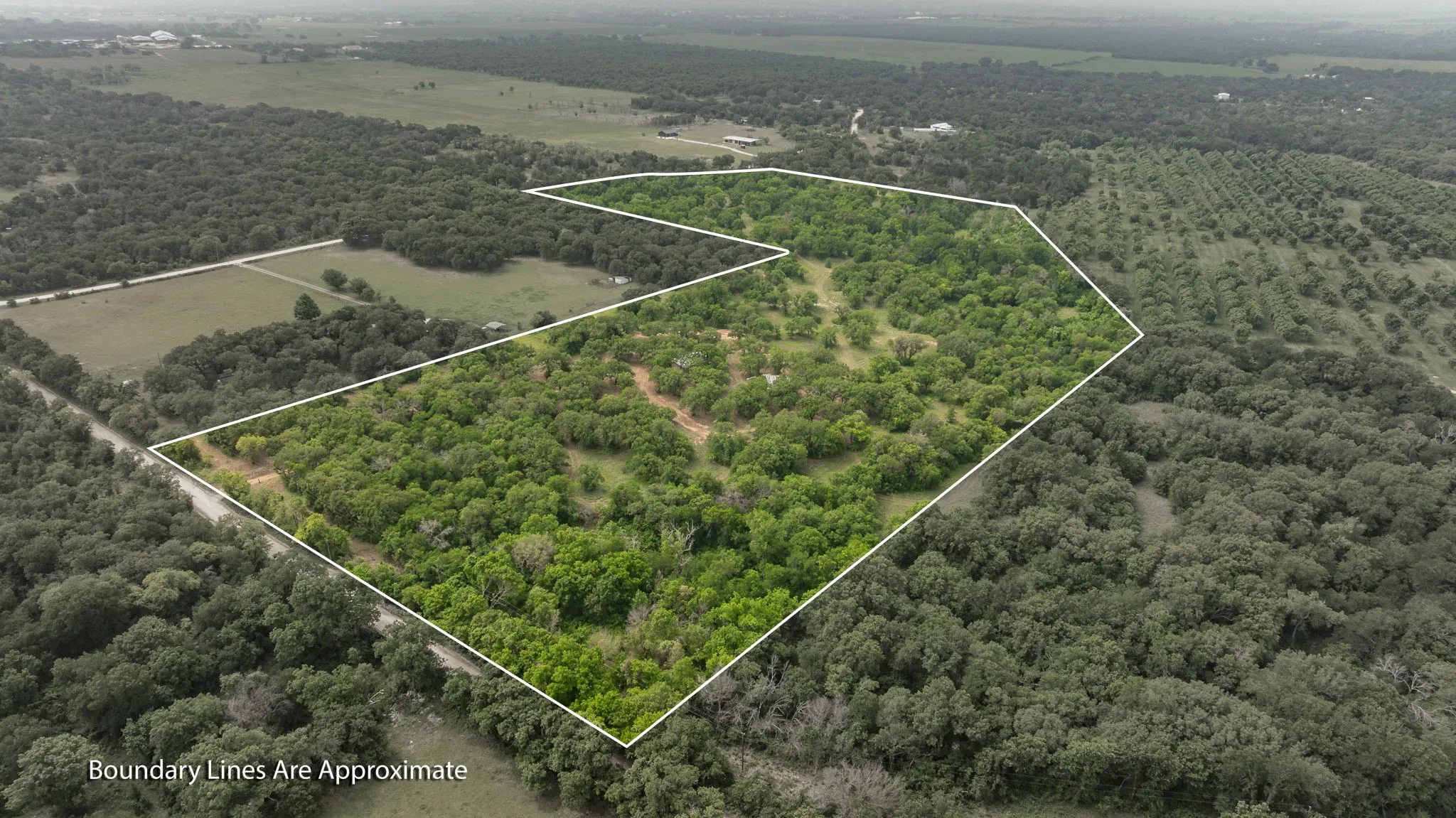 Farm For Sale in Comanche County , 2850 County Road 434, Dublin, Texas 76446, 2 Bedroom, 2 Bathroom, Garage spaces, 1,008 Sqft, built in 1970, mls#20944281, Real Estate Agent in Dublin, Homes For Sale in Comanche county, Homes For Sale in Dublin, Realtor in Dublin Texas, Real Estate Brokerage Independent Realty Texas, Luminita Cordes Realtor