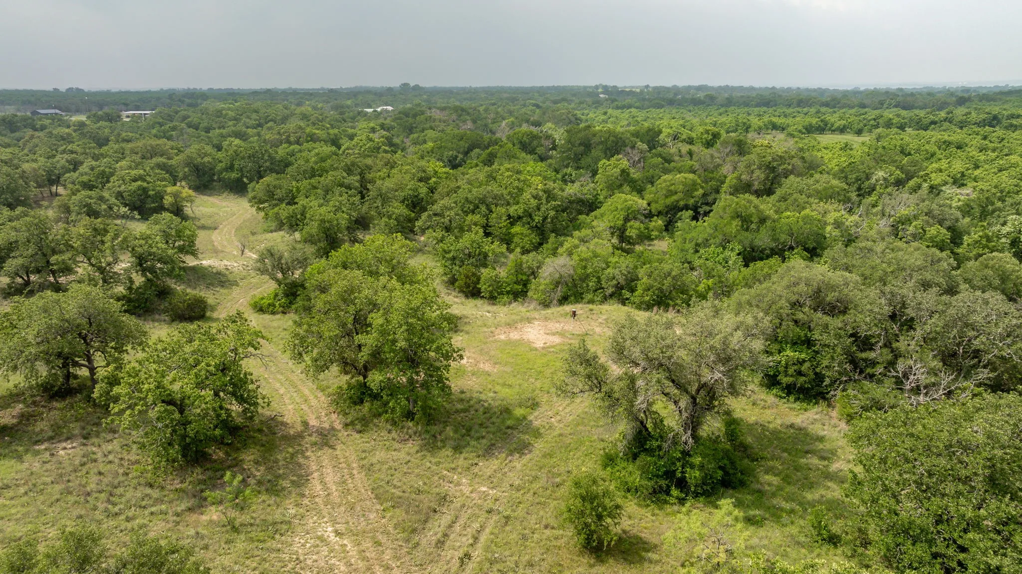 Farm For Sale in Comanche County , 2850 County Road 434, Dublin, Texas 76446, 2 Bedroom, 2 Bathroom, Garage spaces, 1,008 Sqft, built in 1970, mls#20944281, Real Estate Agent in Dublin, Homes For Sale in Comanche county, Homes For Sale in Dublin, Realtor in Dublin Texas, Real Estate Brokerage Independent Realty Texas, Luminita Cordes Realtor