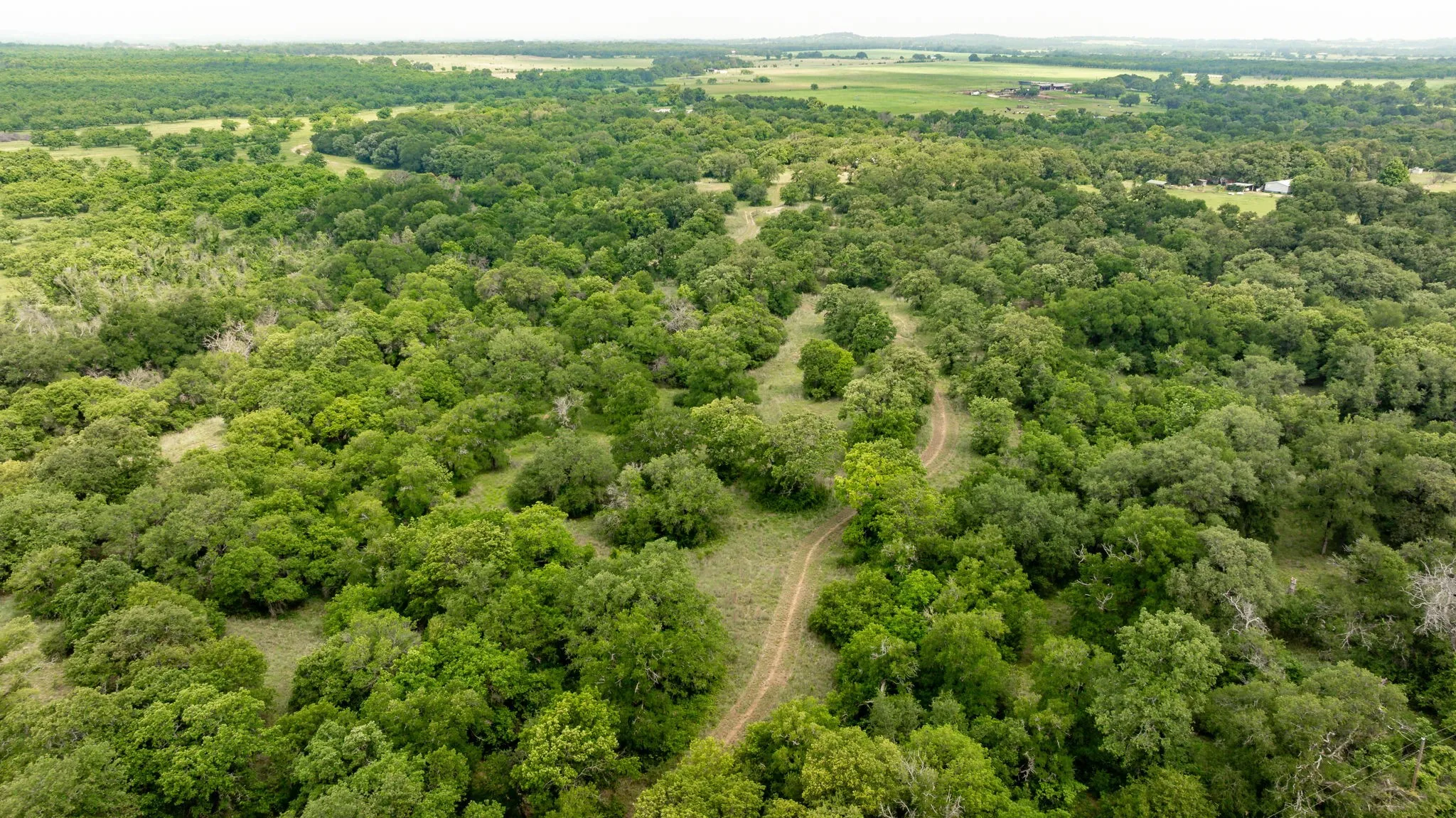 Farm For Sale in Comanche County , 2850 County Road 434, Dublin, Texas 76446, 2 Bedroom, 2 Bathroom, Garage spaces, 1,008 Sqft, built in 1970, mls#20944281, Real Estate Agent in Dublin, Homes For Sale in Comanche county, Homes For Sale in Dublin, Realtor in Dublin Texas, Real Estate Brokerage Independent Realty Texas, Luminita Cordes Realtor