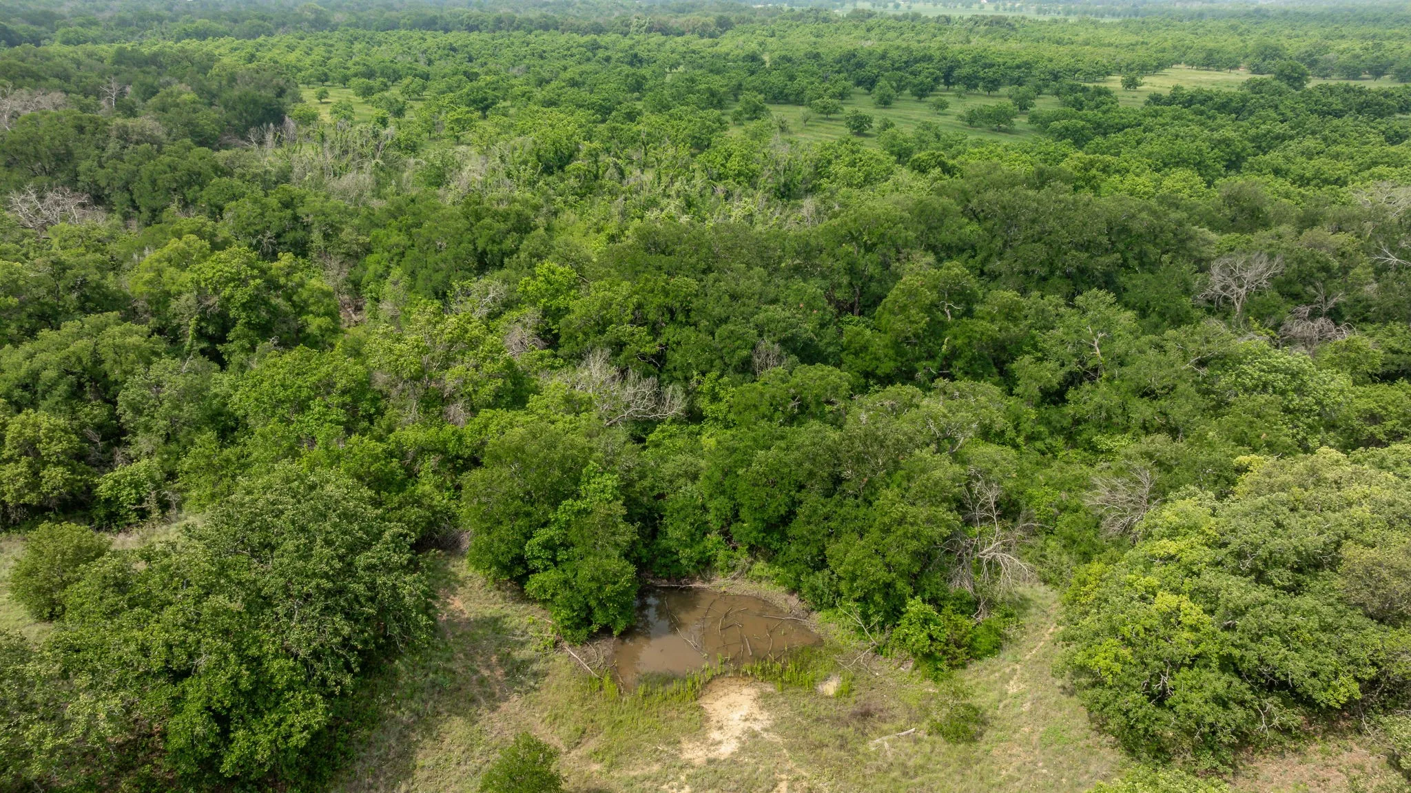 Farm For Sale in Comanche County , 2850 County Road 434, Dublin, Texas 76446, 2 Bedroom, 2 Bathroom, Garage spaces, 1,008 Sqft, built in 1970, mls#20944281, Real Estate Agent in Dublin, Homes For Sale in Comanche county, Homes For Sale in Dublin, Realtor in Dublin Texas, Real Estate Brokerage Independent Realty Texas, Luminita Cordes Realtor