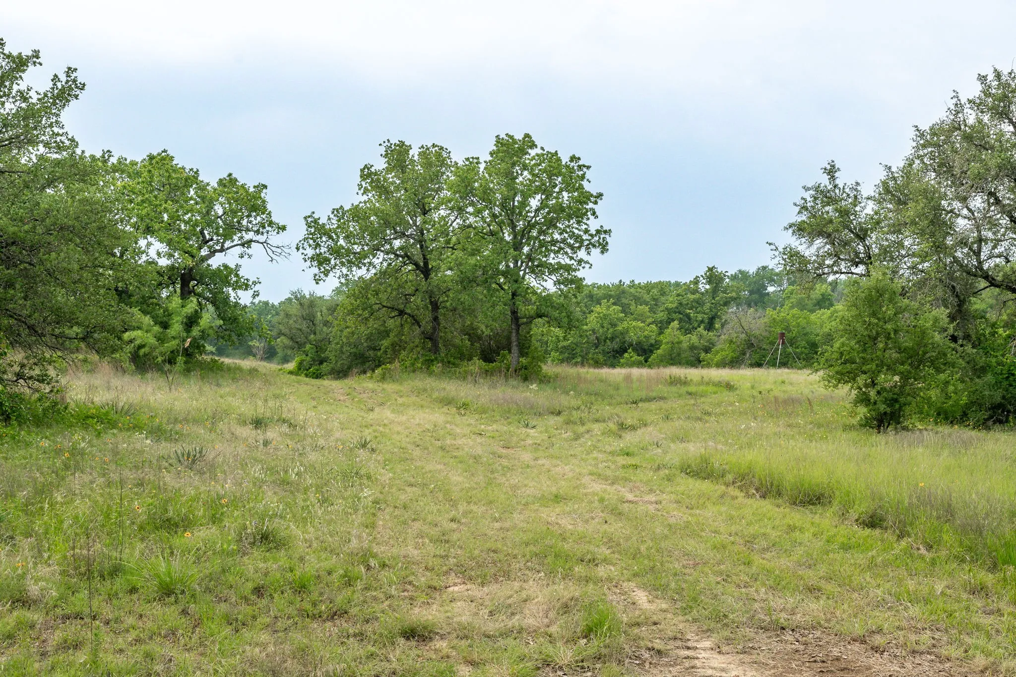 Farm For Sale in Comanche County , 2850 County Road 434, Dublin, Texas 76446, 2 Bedroom, 2 Bathroom, Garage spaces, 1,008 Sqft, built in 1970, mls#20944281, Real Estate Agent in Dublin, Homes For Sale in Comanche county, Homes For Sale in Dublin, Realtor in Dublin Texas, Real Estate Brokerage Independent Realty Texas, Luminita Cordes Realtor