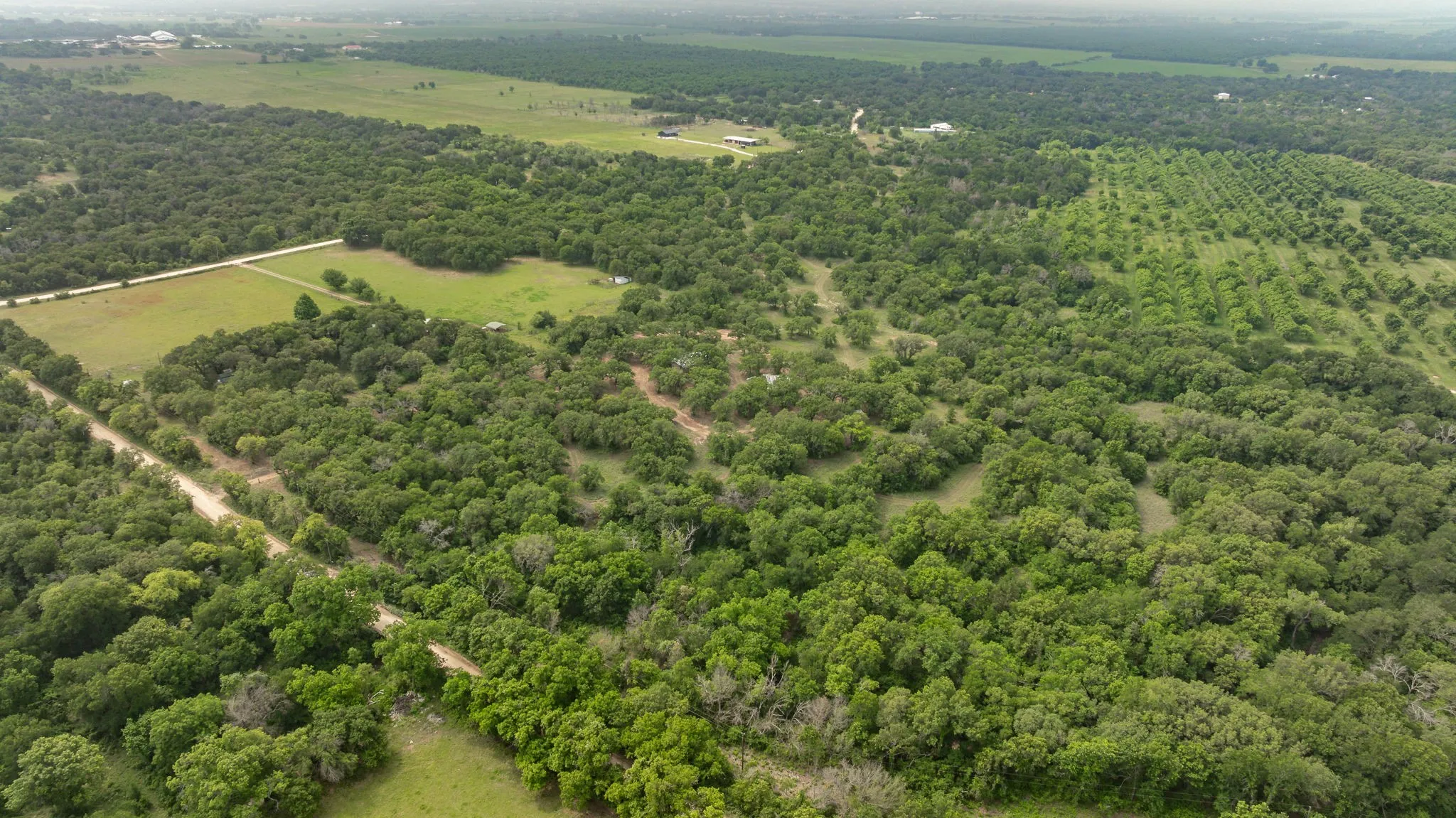 Farm For Sale in Comanche County , 2850 County Road 434, Dublin, Texas 76446, 2 Bedroom, 2 Bathroom, Garage spaces, 1,008 Sqft, built in 1970, mls#20944281, Real Estate Agent in Dublin, Homes For Sale in Comanche county, Homes For Sale in Dublin, Realtor in Dublin Texas, Real Estate Brokerage Independent Realty Texas, Luminita Cordes Realtor