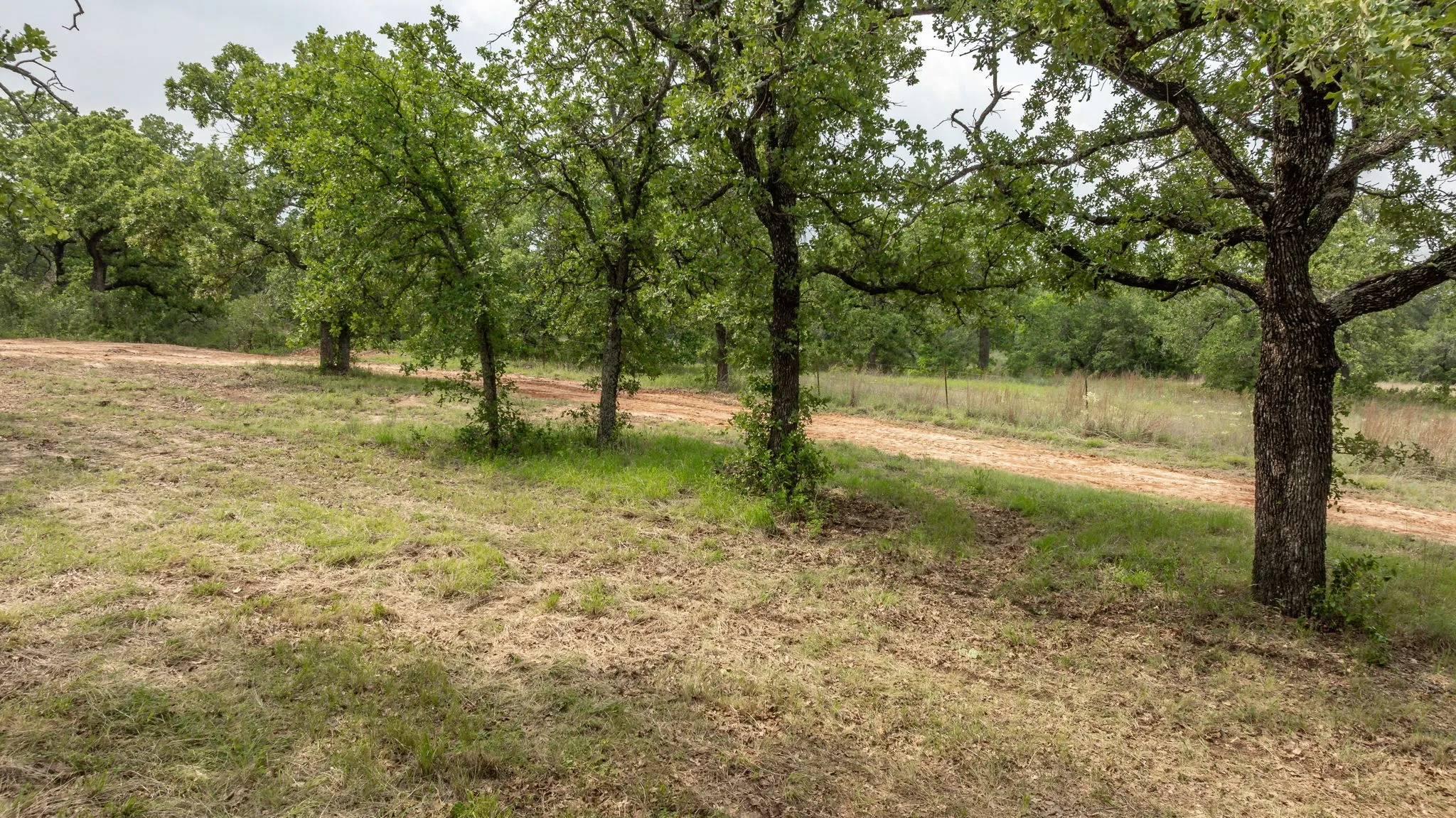 Farm For Sale in Comanche County , 2850 County Road 434, Dublin, Texas 76446, 2 Bedroom, 2 Bathroom, Garage spaces, 1,008 Sqft, built in 1970, mls#20944281, Real Estate Agent in Dublin, Homes For Sale in Comanche county, Homes For Sale in Dublin, Realtor in Dublin Texas, Real Estate Brokerage Independent Realty Texas, Luminita Cordes Realtor