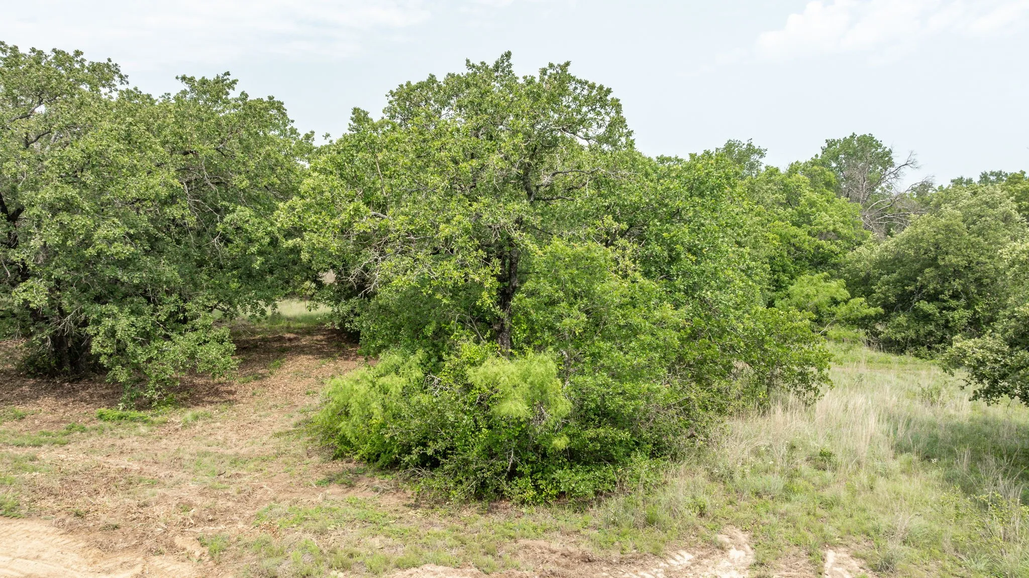 Farm For Sale in Comanche County , 2850 County Road 434, Dublin, Texas 76446, 2 Bedroom, 2 Bathroom, Garage spaces, 1,008 Sqft, built in 1970, mls#20944281, Real Estate Agent in Dublin, Homes For Sale in Comanche county, Homes For Sale in Dublin, Realtor in Dublin Texas, Real Estate Brokerage Independent Realty Texas, Luminita Cordes Realtor