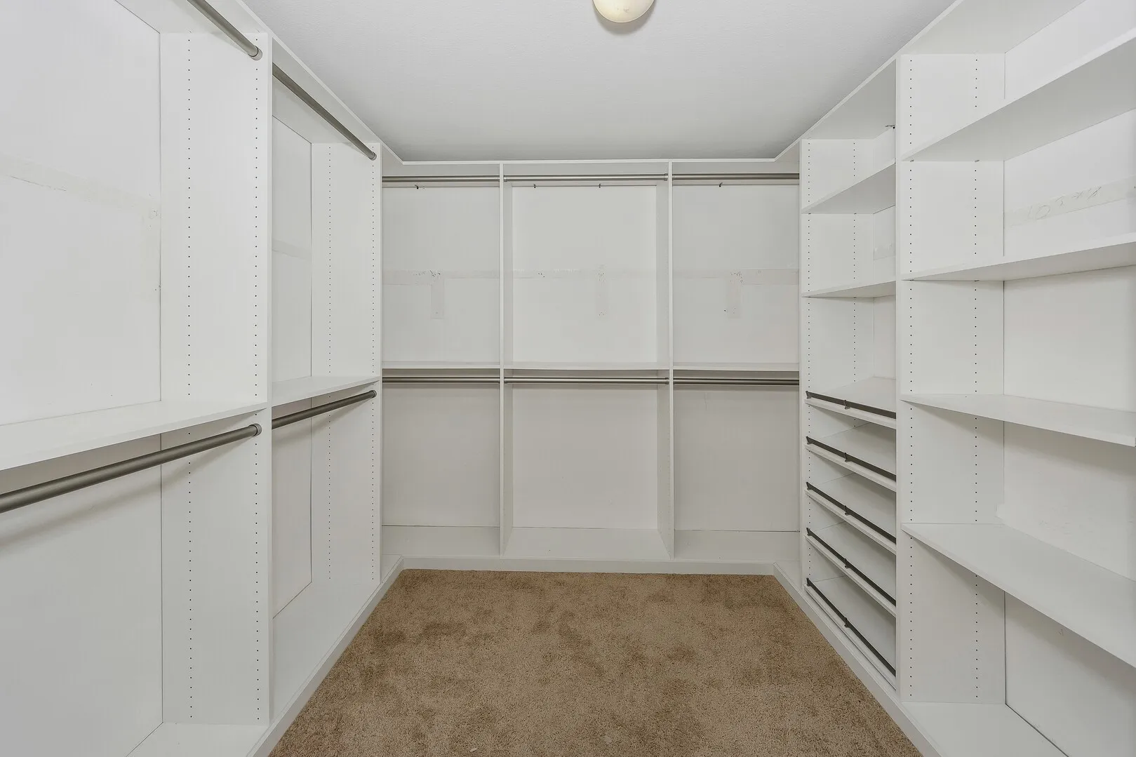 Spacious closet featuring light carpet