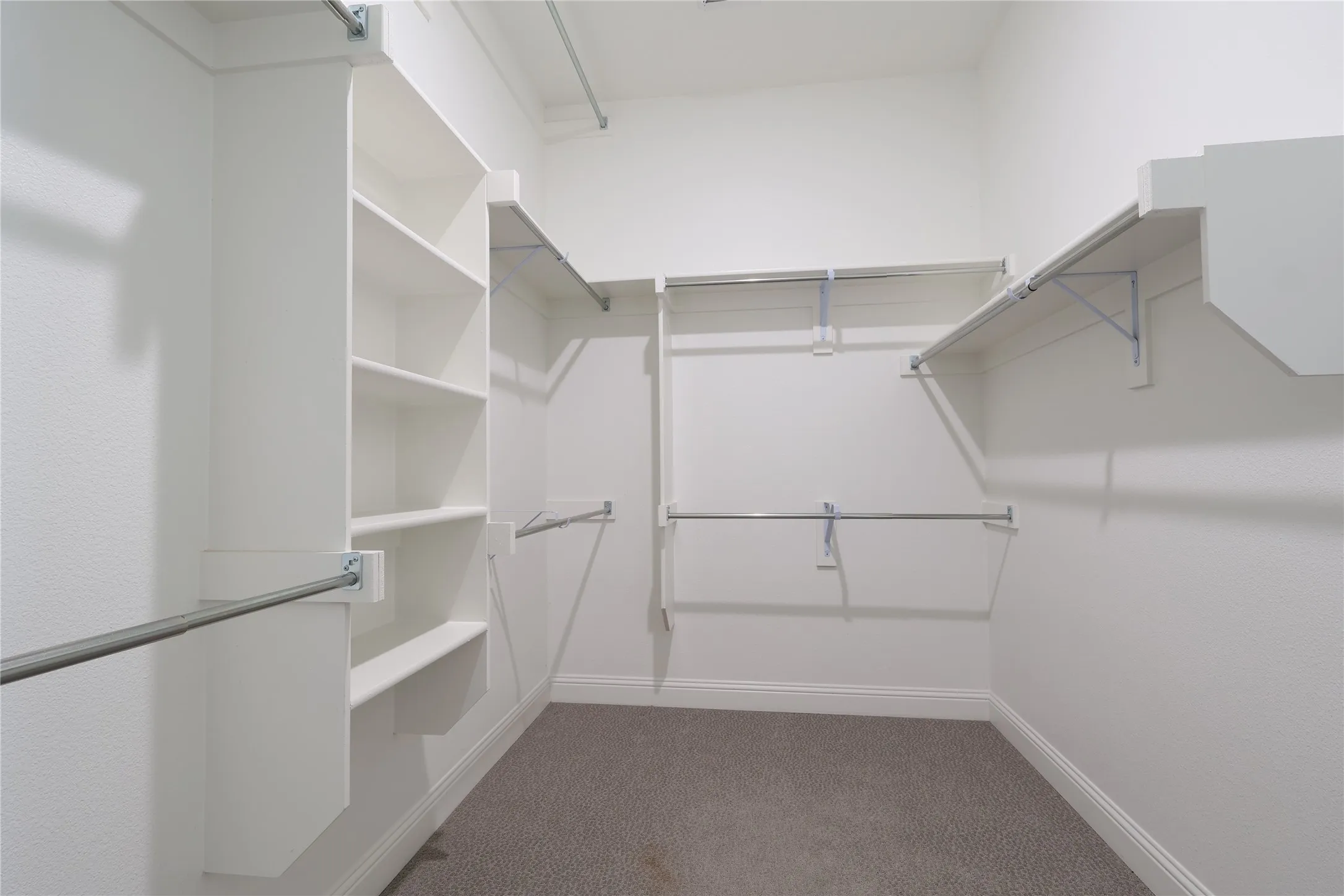 Walk in closet featuring carpet