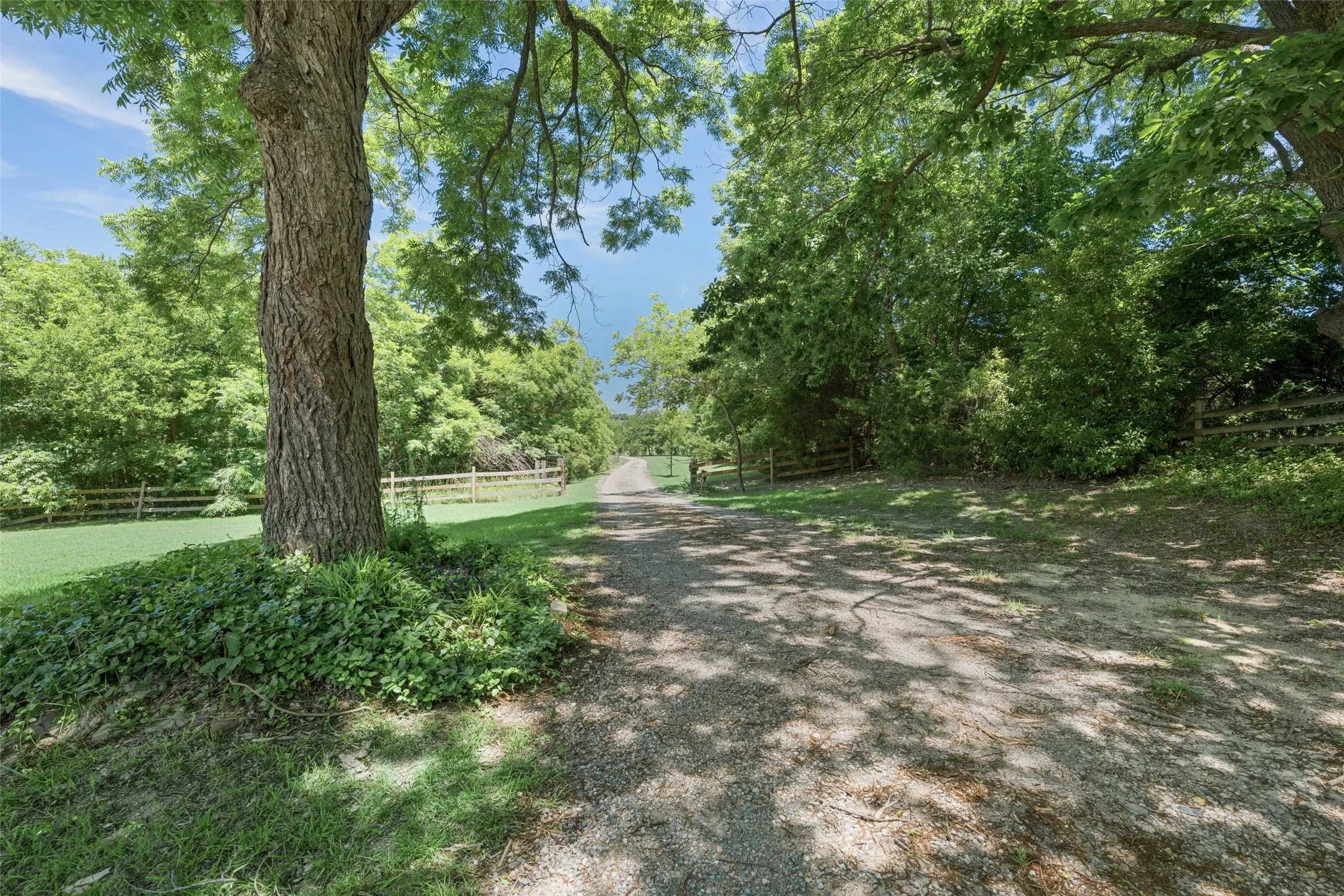 Farm For Sale in Grayson County , 1000 Ballard Road, Van Alstyne, Texas 75495, 3 Bedroom, 2 Bathroom, 2 Garage spaces, 1,891 Sqft, built in 1999, Preowned, mls#20944329, Real Estate Agent in Van Alstyne, Homes For Sale in Grayson county, Homes For Sale in Van Alstyne, Realtor in Van Alstyne Texas, Real Estate Brokerage Independent Realty Texas, Luminita Cordes Realtor