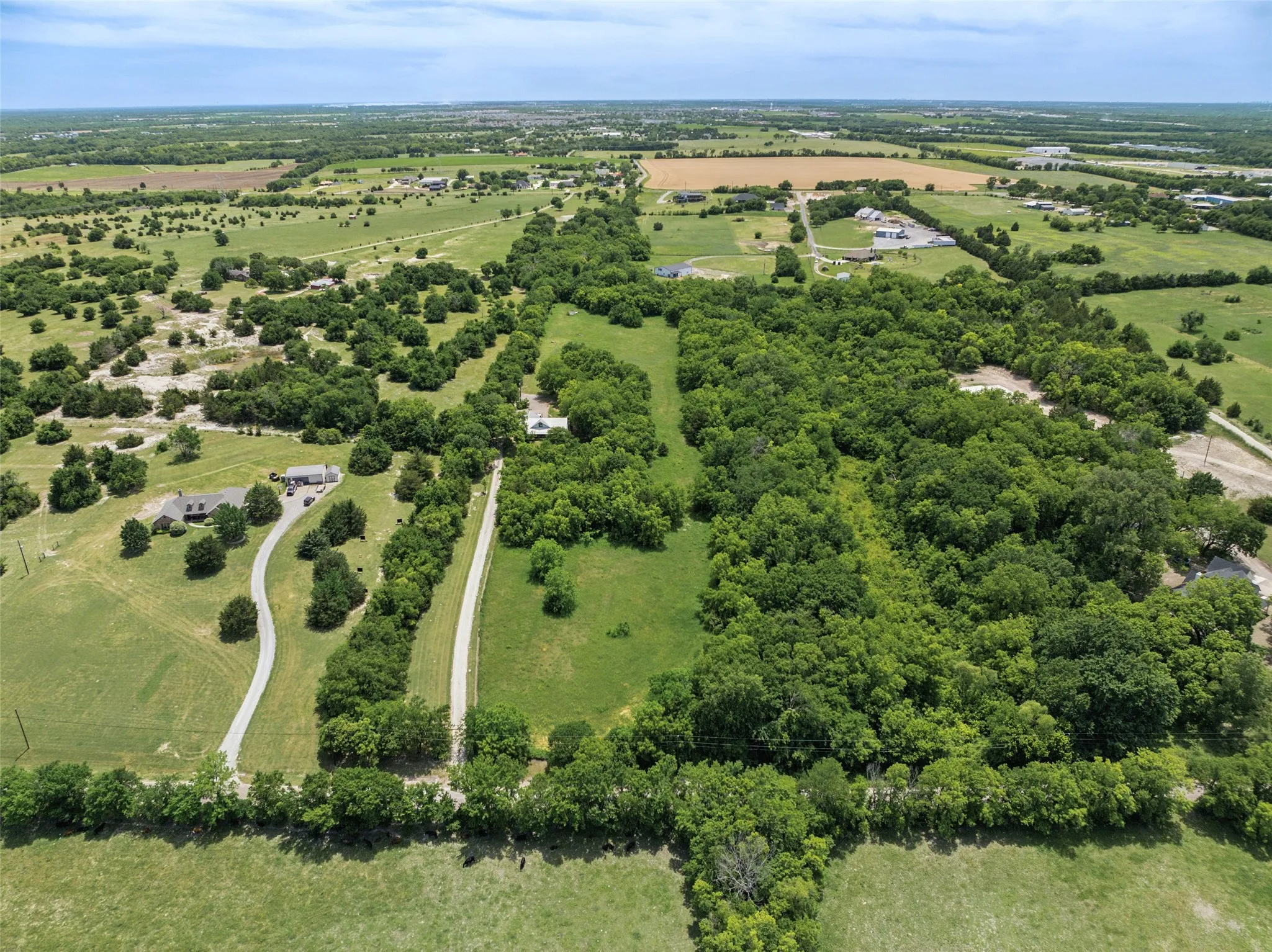 Breathtaking 16+ Acre Oasis in Nature, Surrounded by Towering Pines, Majestic Pecan Trees, and More – Your Private Retreat Awaits!