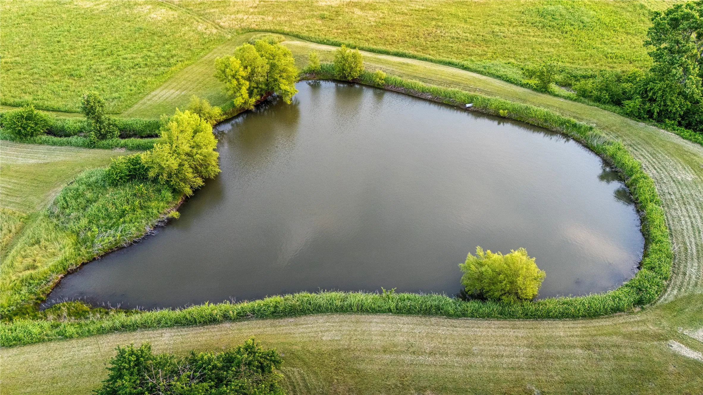 Farm For Sale in Cooke County , 590 County Road 385, Valley View, Texas 76272, 3 Bedroom, 3 Bathroom, 2 Garage spaces, 3,049 Sqft, built in 2003, Preowned, mls#20944318, Real Estate Agent in Valley View, Homes For Sale in Cooke county, Homes For Sale in Valley View, Realtor in Valley View Texas, Real Estate Brokerage Independent Realty Texas, Luminita Cordes Realtor