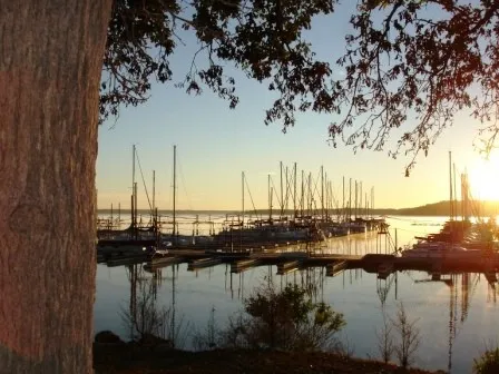 3 Minutes from Cedar Mills Marina