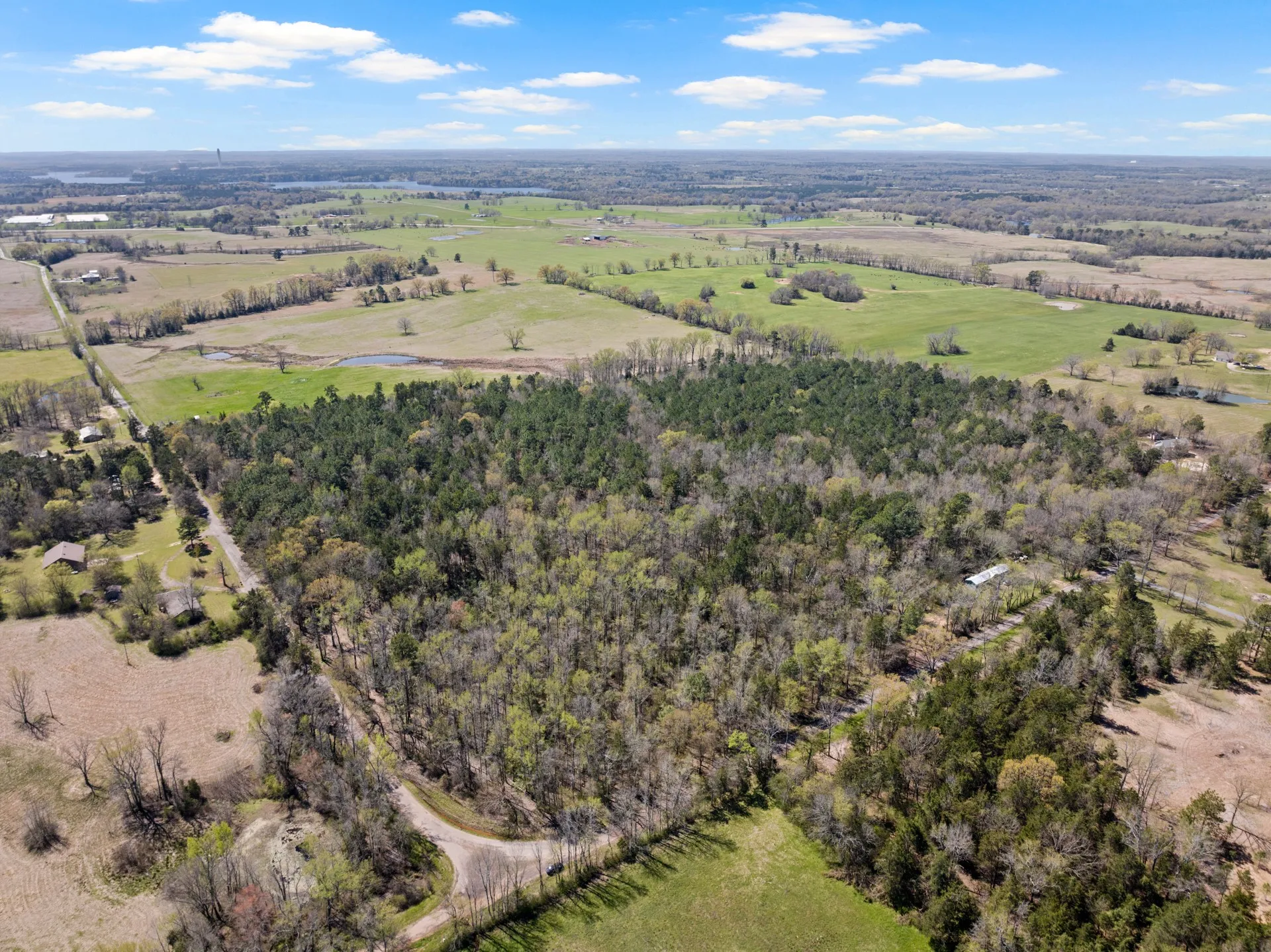 Unimproved Land For Sale in Titus County , Lot 3 CR 4365, Mt Pleasant, Texas 75455, 0, 0, Garage spaces, 0 Sqft, built in 0, mls#20946774, Real Estate Agent in Mt Pleasant, Homes For Sale in Titus county, Homes For Sale in Mt Pleasant, Realtor in Mt Pleasant Texas, Real Estate Brokerage Independent Realty Texas, Luminita Cordes Realtor