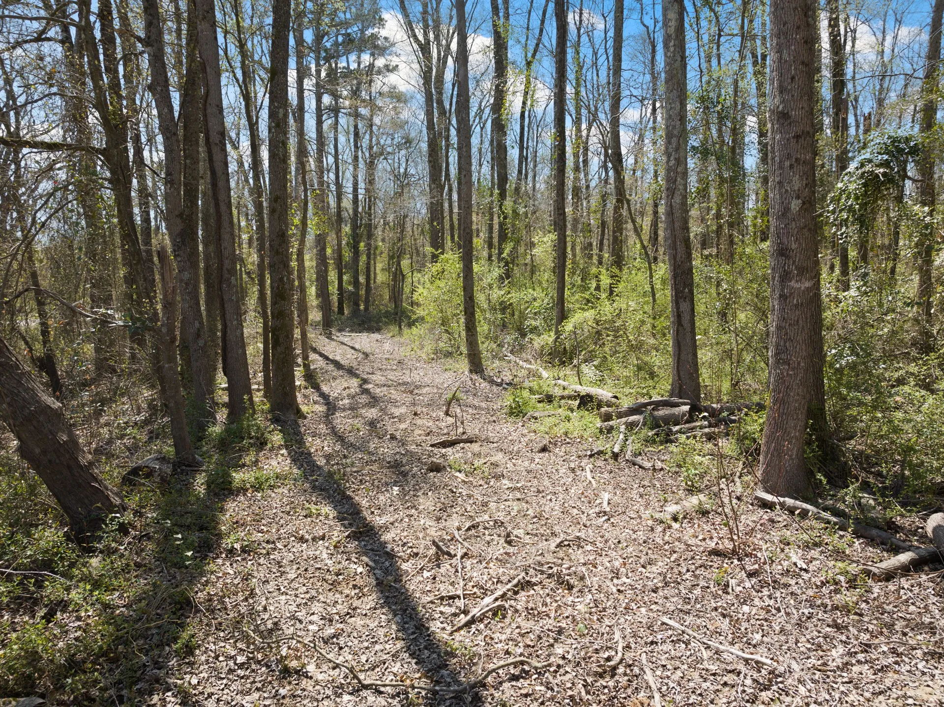 Unimproved Land For Sale in Titus County , Lot 3 CR 4365, Mt Pleasant, Texas 75455, 0, 0, Garage spaces, 0 Sqft, built in 0, mls#20946774, Real Estate Agent in Mt Pleasant, Homes For Sale in Titus county, Homes For Sale in Mt Pleasant, Realtor in Mt Pleasant Texas, Real Estate Brokerage Independent Realty Texas, Luminita Cordes Realtor