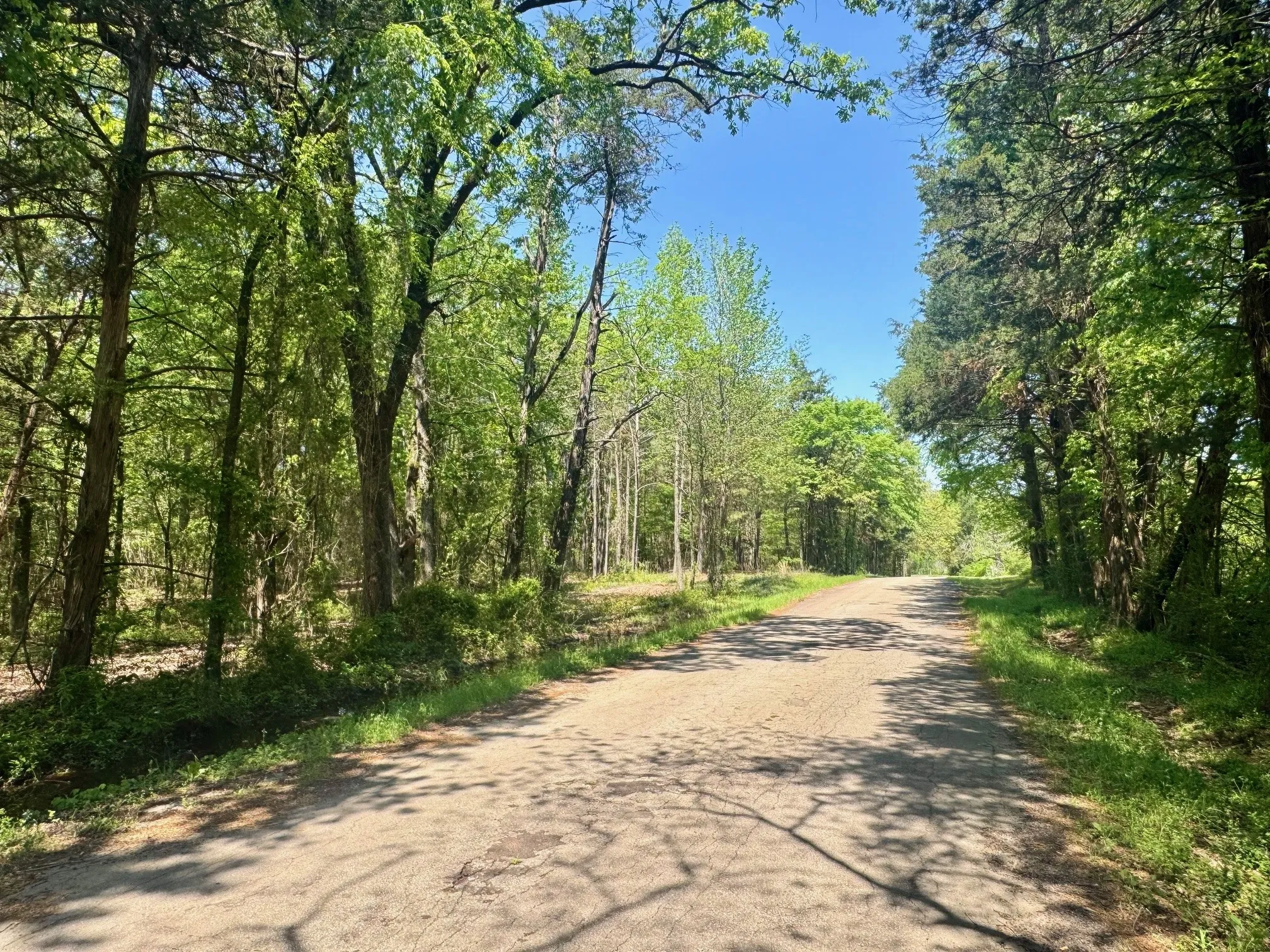 Unimproved Land For Sale in Titus County , Lot 3 CR 4365, Mt Pleasant, Texas 75455, 0, 0, Garage spaces, 0 Sqft, built in 0, mls#20946774, Real Estate Agent in Mt Pleasant, Homes For Sale in Titus county, Homes For Sale in Mt Pleasant, Realtor in Mt Pleasant Texas, Real Estate Brokerage Independent Realty Texas, Luminita Cordes Realtor