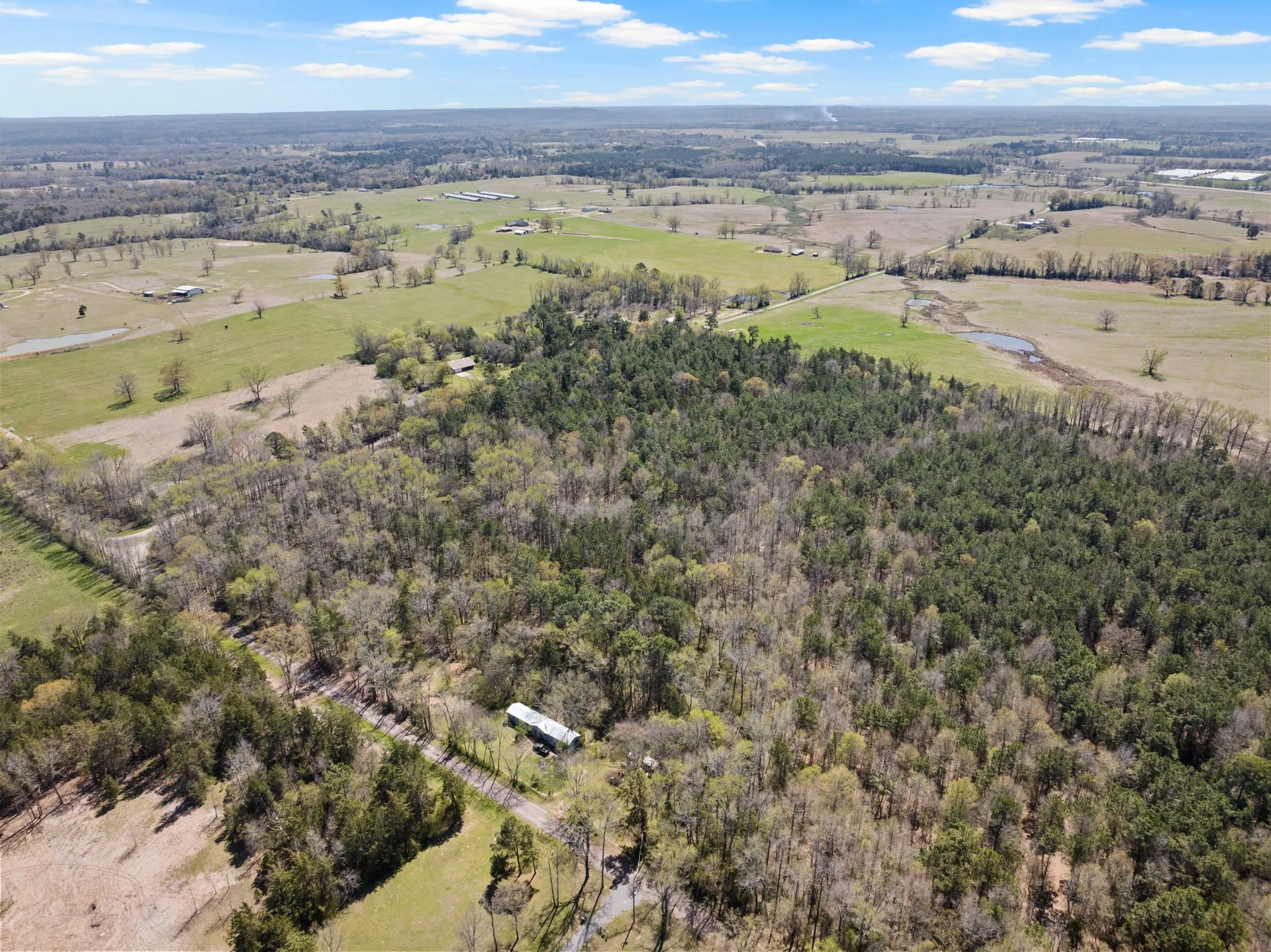 Unimproved Land For Sale in Titus County , Lot 3 CR 4365, Mt Pleasant, Texas 75455, 0, 0, Garage spaces, 0 Sqft, built in 0, mls#20946774, Real Estate Agent in Mt Pleasant, Homes For Sale in Titus county, Homes For Sale in Mt Pleasant, Realtor in Mt Pleasant Texas, Real Estate Brokerage Independent Realty Texas, Luminita Cordes Realtor