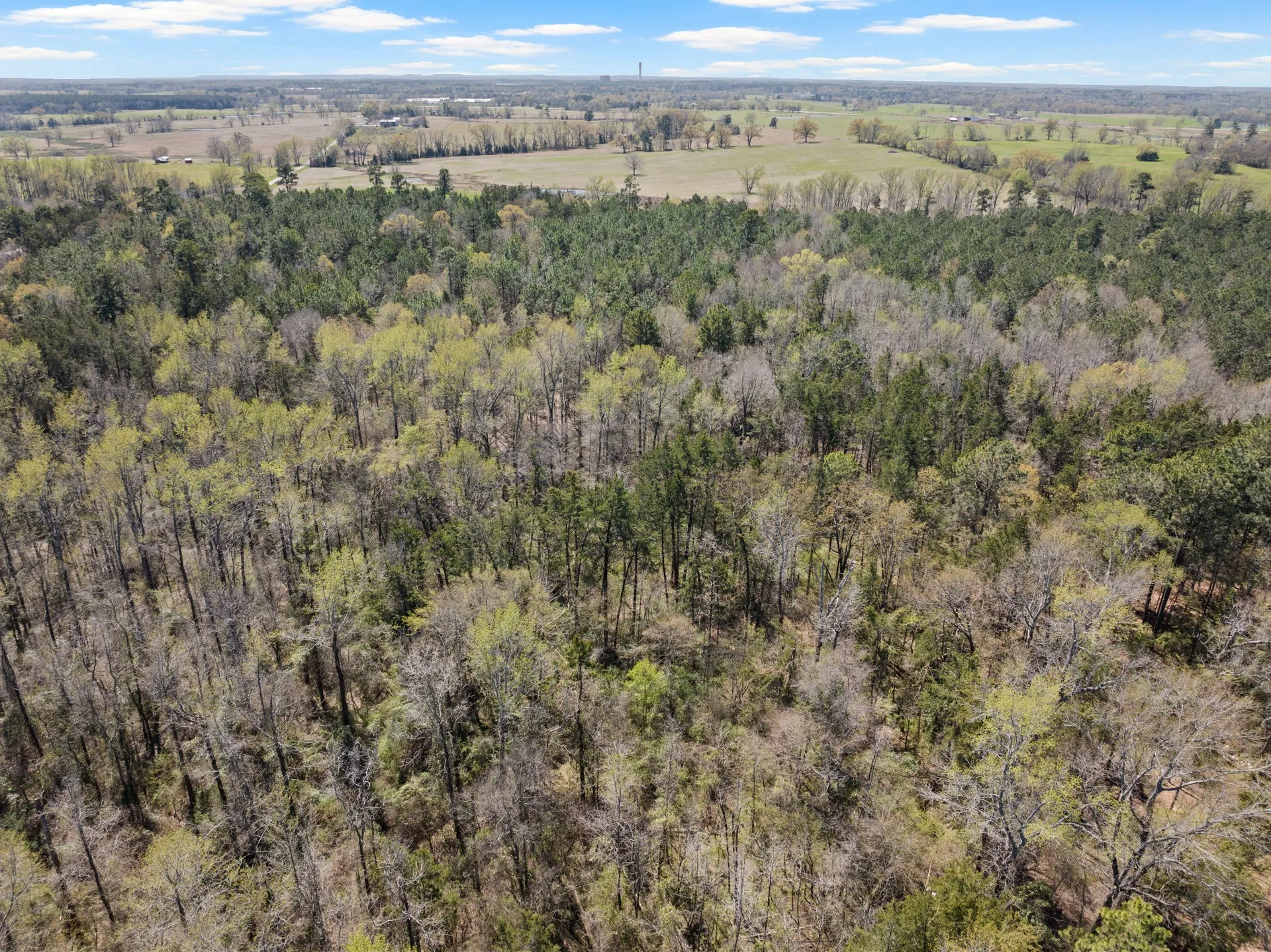 Unimproved Land For Sale in Titus County , Lot 3 CR 4365, Mt Pleasant, Texas 75455, 0, 0, Garage spaces, 0 Sqft, built in 0, mls#20946774, Real Estate Agent in Mt Pleasant, Homes For Sale in Titus county, Homes For Sale in Mt Pleasant, Realtor in Mt Pleasant Texas, Real Estate Brokerage Independent Realty Texas, Luminita Cordes Realtor