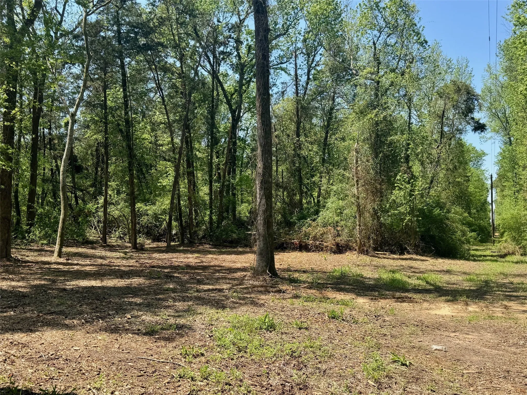 Unimproved Land For Sale in Titus County , Lot 3 CR 4365, Mt Pleasant, Texas 75455, 0, 0, Garage spaces, 0 Sqft, built in 0, mls#20946774, Real Estate Agent in Mt Pleasant, Homes For Sale in Titus county, Homes For Sale in Mt Pleasant, Realtor in Mt Pleasant Texas, Real Estate Brokerage Independent Realty Texas, Luminita Cordes Realtor