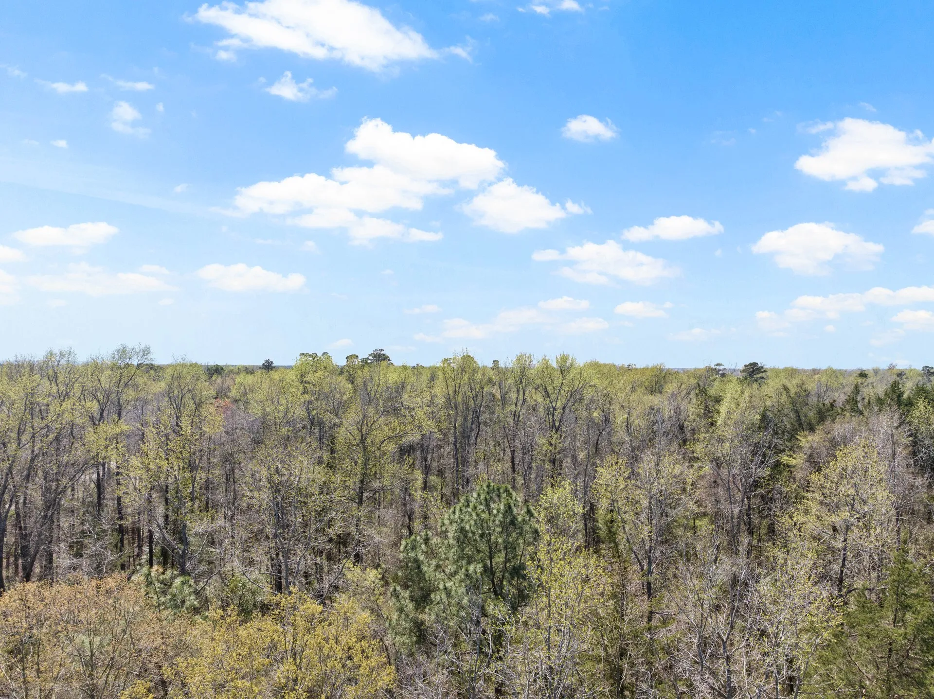 Unimproved Land For Sale in Titus County , Lot 3 CR 4365, Mt Pleasant, Texas 75455, 0, 0, Garage spaces, 0 Sqft, built in 0, mls#20946774, Real Estate Agent in Mt Pleasant, Homes For Sale in Titus county, Homes For Sale in Mt Pleasant, Realtor in Mt Pleasant Texas, Real Estate Brokerage Independent Realty Texas, Luminita Cordes Realtor