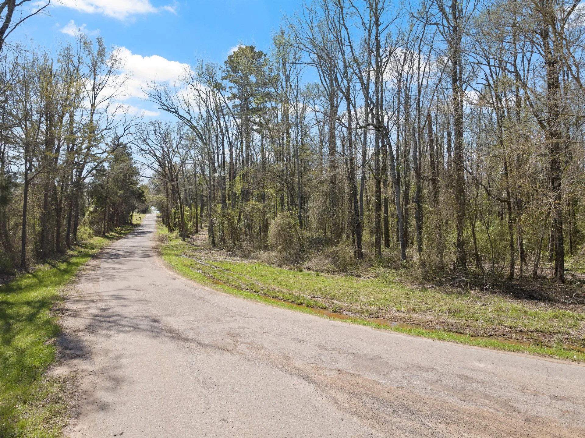Unimproved Land For Sale in Titus County , Lot 5 CR 4365, Mt Pleasant, Texas 75455, 0, 0, Garage spaces, 0 Sqft, built in 0, mls#20946803, Real Estate Agent in Mt Pleasant, Homes For Sale in Titus county, Homes For Sale in Mt Pleasant, Realtor in Mt Pleasant Texas, Real Estate Brokerage Independent Realty Texas, Luminita Cordes Realtor