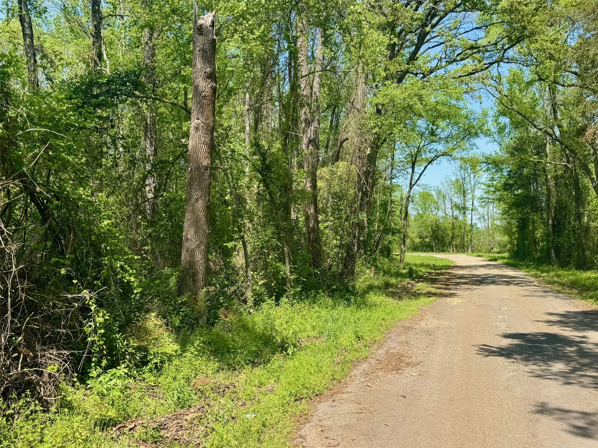 Unimproved Land For Sale in Titus County , Lot 5 CR 4365, Mt Pleasant, Texas 75455, 0, 0, Garage spaces, 0 Sqft, built in 0, mls#20946803, Real Estate Agent in Mt Pleasant, Homes For Sale in Titus county, Homes For Sale in Mt Pleasant, Realtor in Mt Pleasant Texas, Real Estate Brokerage Independent Realty Texas, Luminita Cordes Realtor