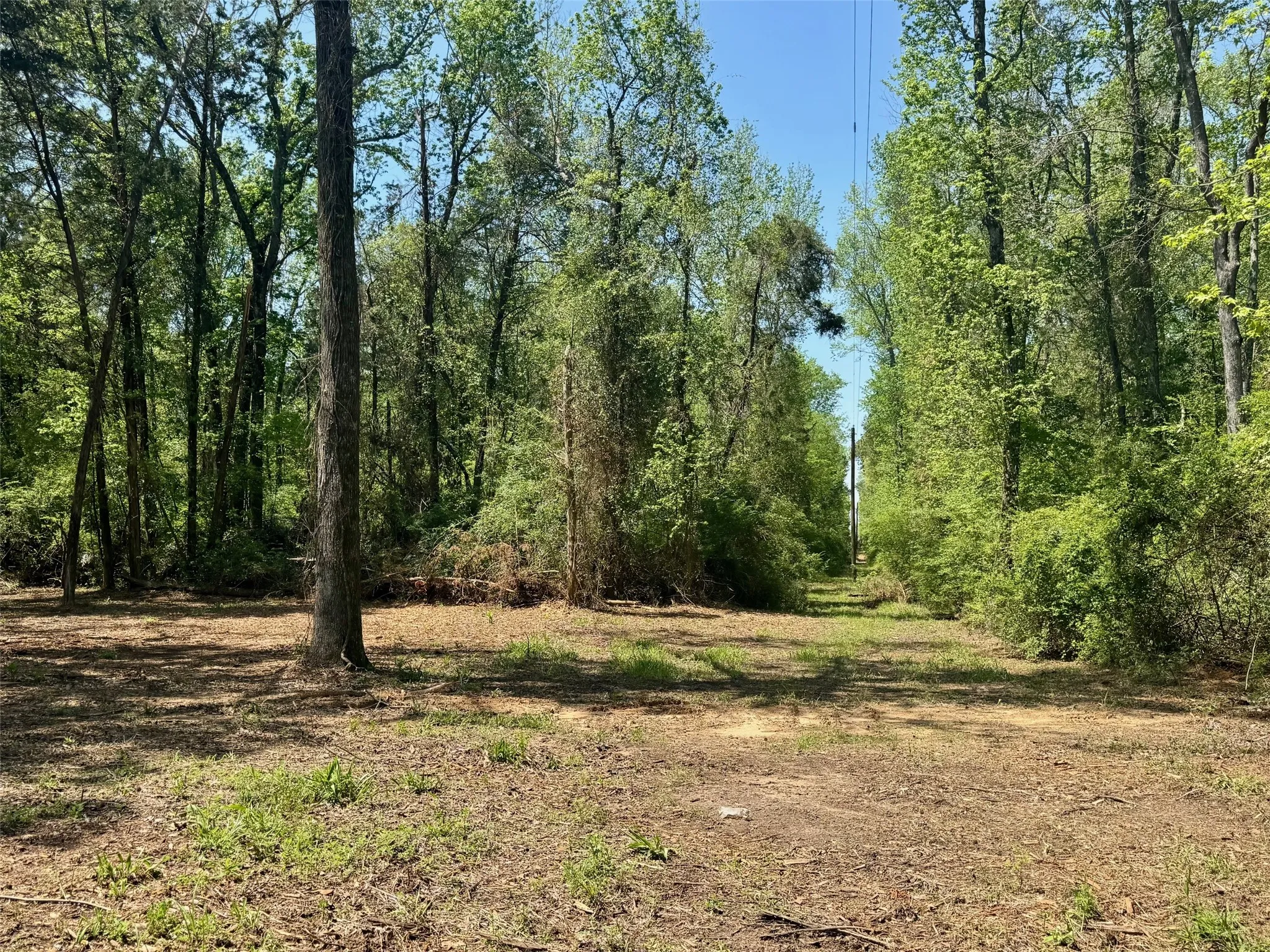 Unimproved Land For Sale in Titus County , Lot 5 CR 4365, Mt Pleasant, Texas 75455, 0, 0, Garage spaces, 0 Sqft, built in 0, mls#20946803, Real Estate Agent in Mt Pleasant, Homes For Sale in Titus county, Homes For Sale in Mt Pleasant, Realtor in Mt Pleasant Texas, Real Estate Brokerage Independent Realty Texas, Luminita Cordes Realtor