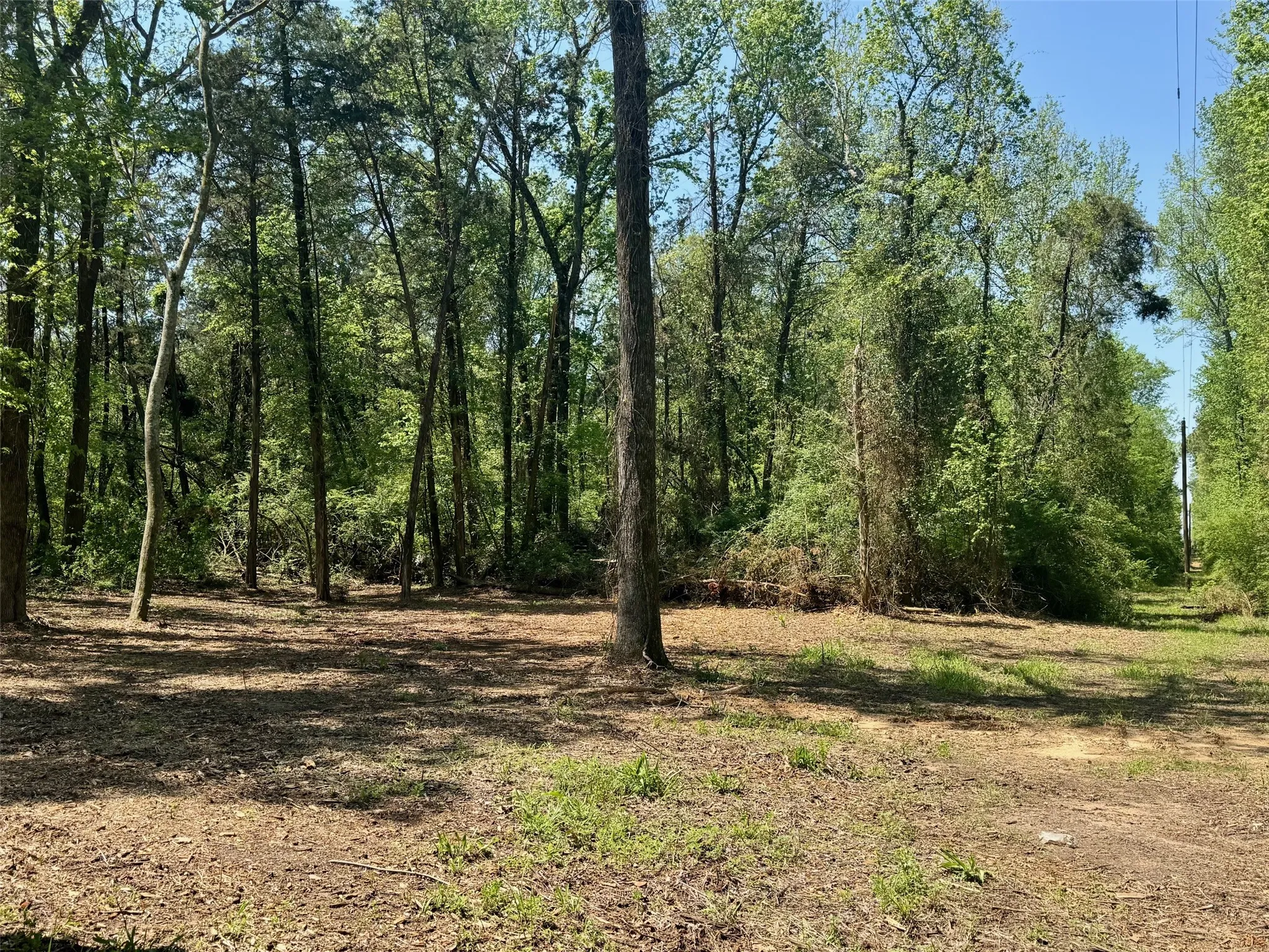 Unimproved Land For Sale in Titus County , Lot 5 CR 4365, Mt Pleasant, Texas 75455, 0, 0, Garage spaces, 0 Sqft, built in 0, mls#20946803, Real Estate Agent in Mt Pleasant, Homes For Sale in Titus county, Homes For Sale in Mt Pleasant, Realtor in Mt Pleasant Texas, Real Estate Brokerage Independent Realty Texas, Luminita Cordes Realtor