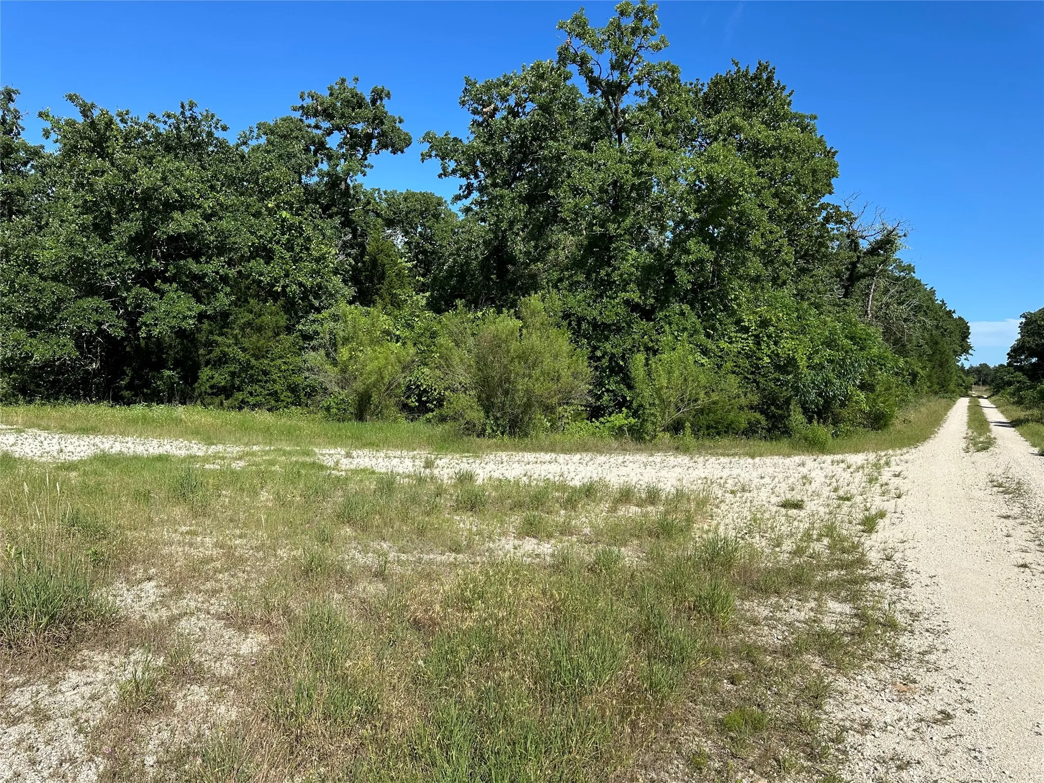 Unimproved Land For Sale in Freestone County , TBD FCR 720, Teague, Texas 75860, 0, 0, Garage spaces, 0 Sqft, built in 0, mls#20946900, Real Estate Agent in Teague, Homes For Sale in Freestone county, Homes For Sale in Teague, Realtor in Teague Texas, Real Estate Brokerage Independent Realty Texas, Luminita Cordes Realtor