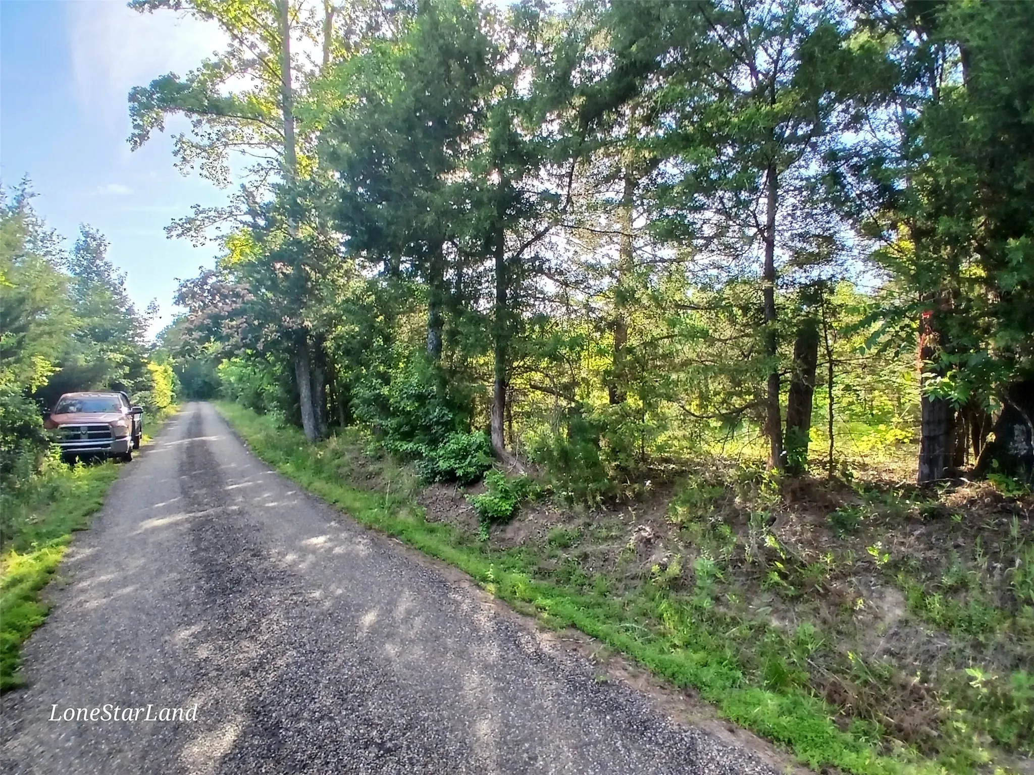 SE corner of property