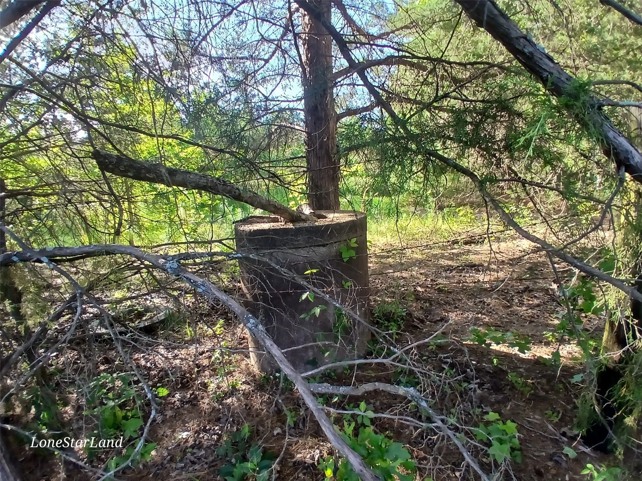 Water well near road

