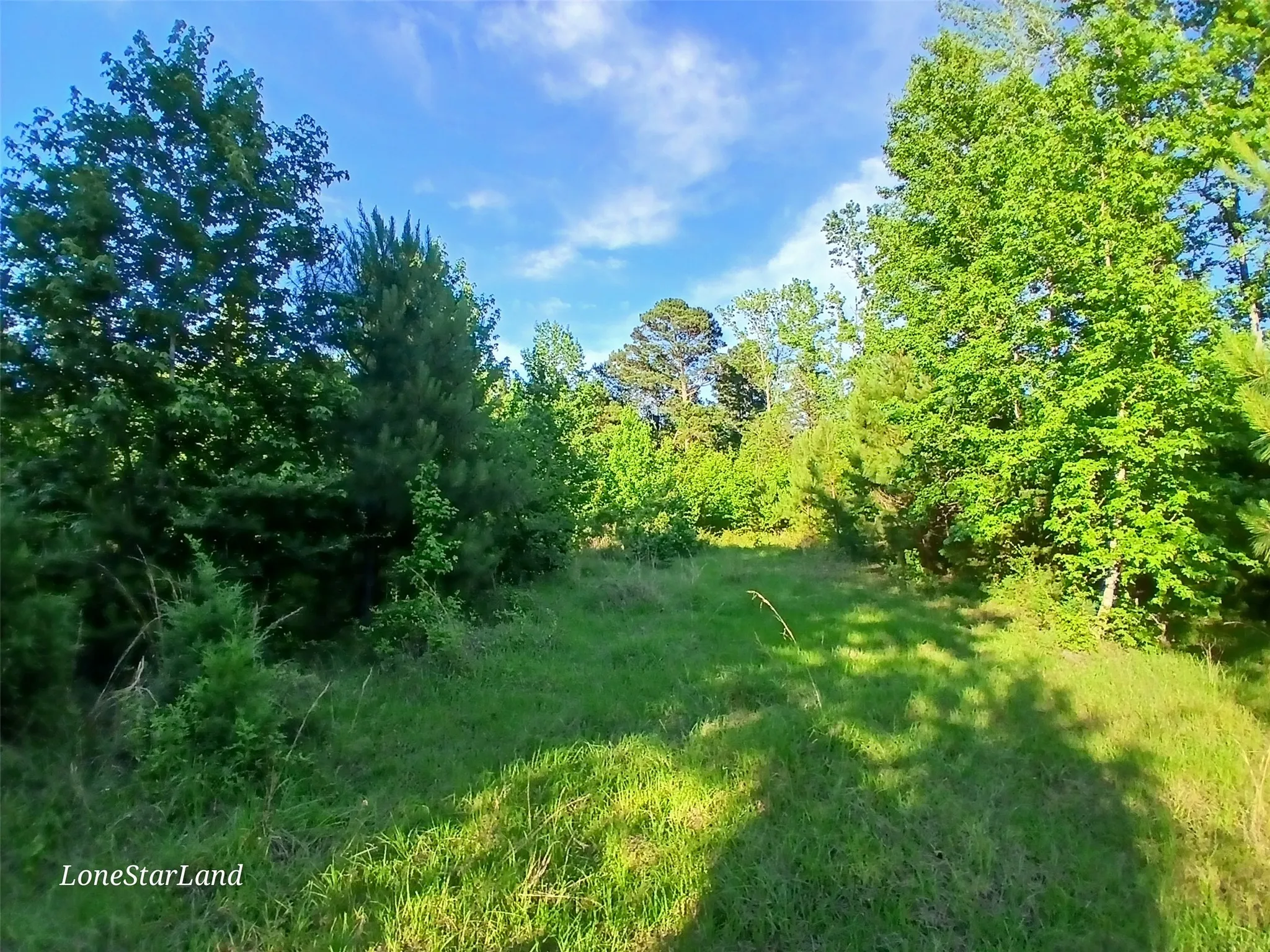 Unimproved Land For Sale in Camp County , 475 County Road 4421, Pittsburg, Texas 75686, 0, 0, Garage spaces, 0 Sqft, built in 0, mls#20948125, Real Estate Agent in Pittsburg, Homes For Sale in Camp county, Homes For Sale in Pittsburg, Realtor in Pittsburg Texas, Real Estate Brokerage Independent Realty Texas, Luminita Cordes Realtor