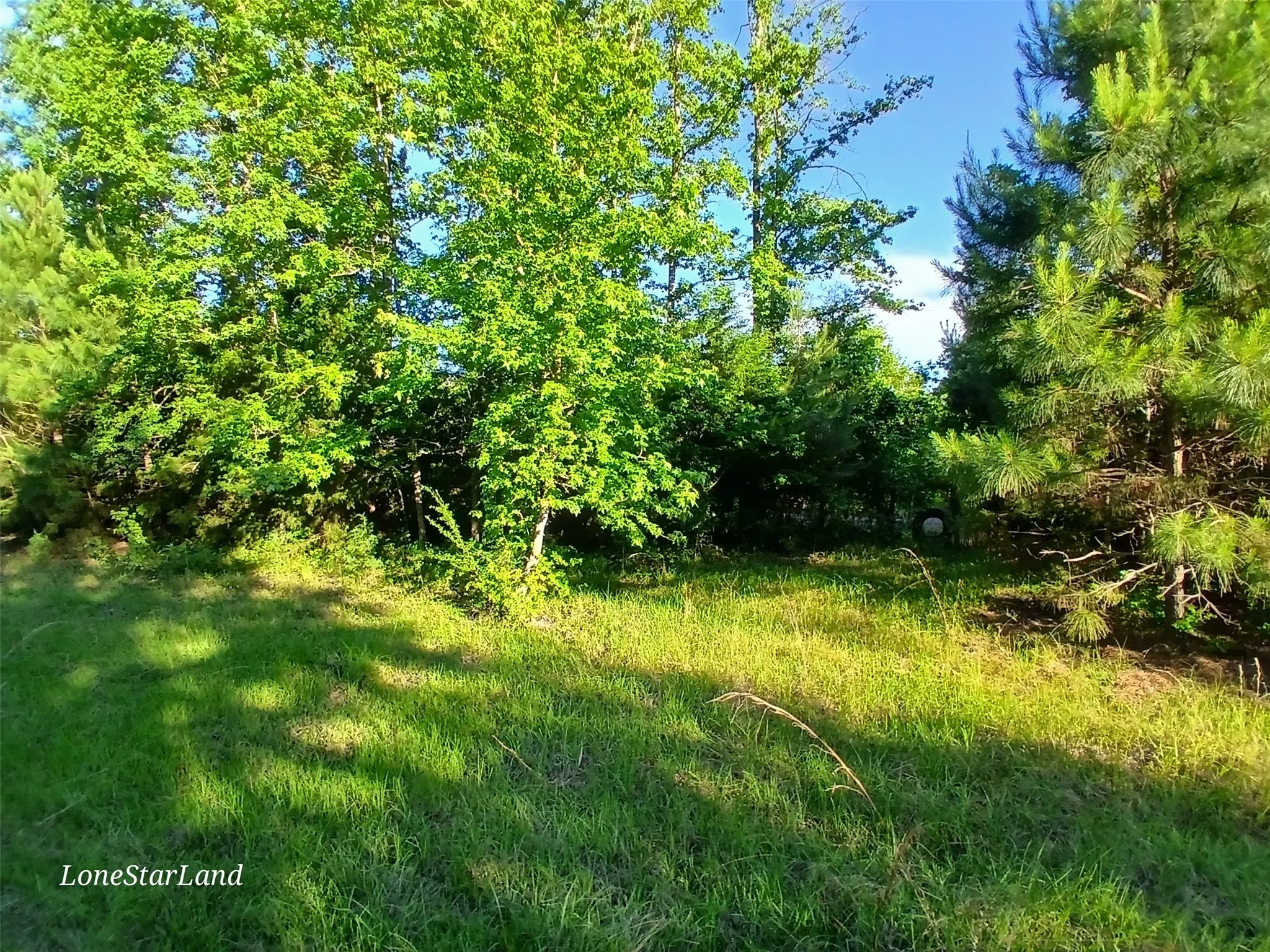 View of undeveloped land