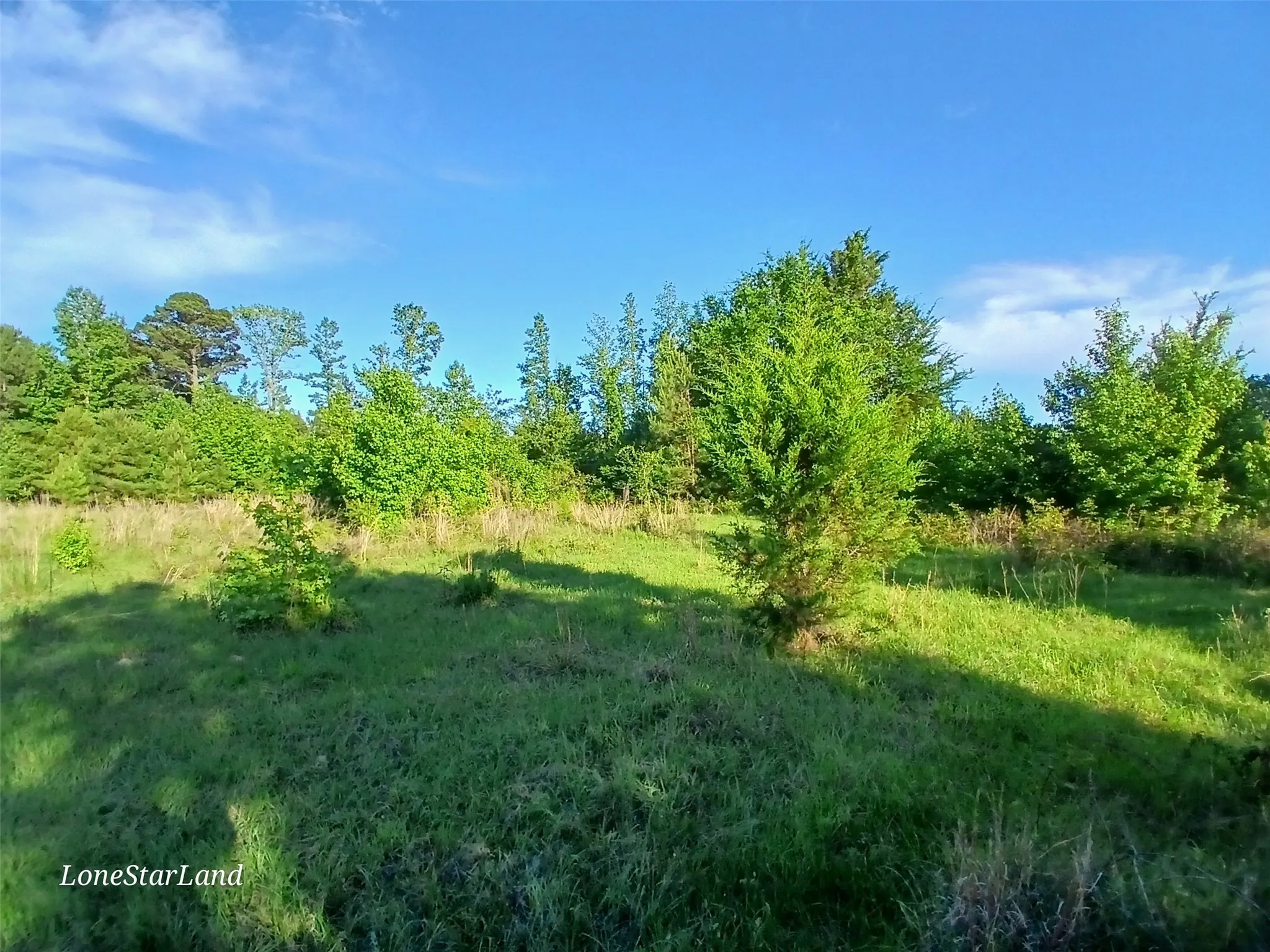 View of undeveloped land