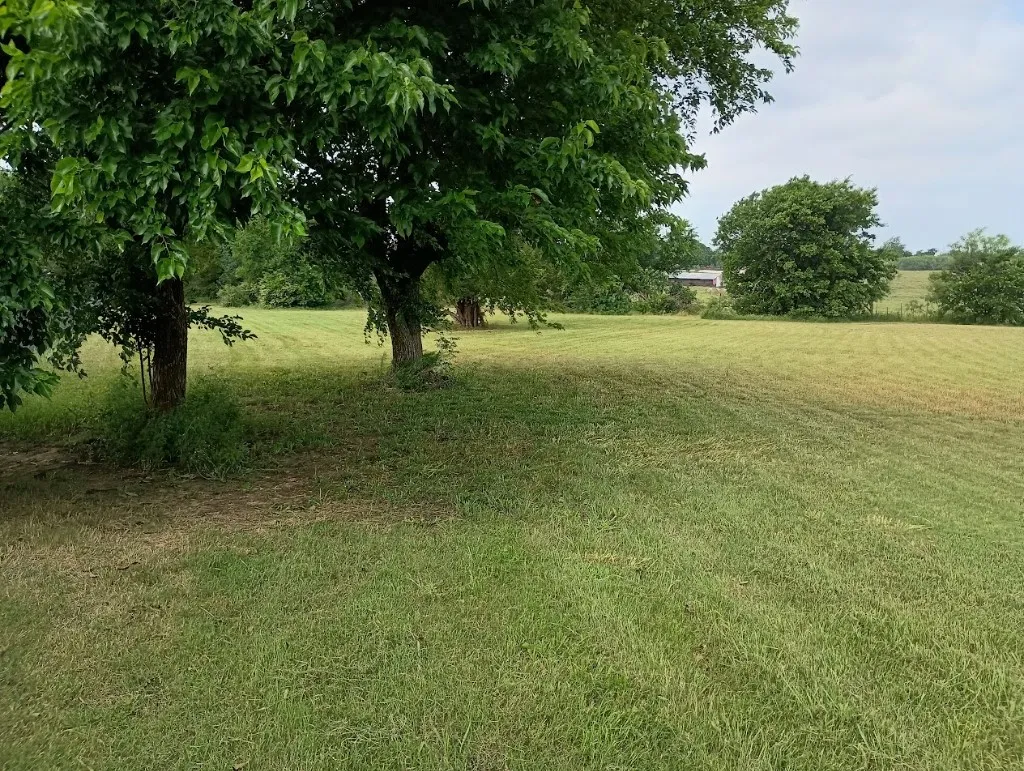 Unimproved Land For Sale in Cooke County , 3100 Briarcliff Circle, Gainesville, Texas 76240, 0, 0, Garage spaces, 0 Sqft, built in 0, Price $99,995, mls#20948524, Real Estate Agent in Gainesville, Homes For Sale in Cooke county, Homes For Sale in Gainesville, Realtor in Gainesville Texas, Real Estate Brokerage Independent Realty Texas, Luminita Cordes Realtor