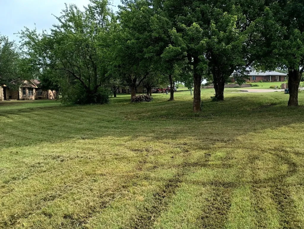 Unimproved Land For Sale in Cooke County , 3100 Briarcliff Circle, Gainesville, Texas 76240, 0, 0, Garage spaces, 0 Sqft, built in 0, Price $99,995, mls#20948524, Real Estate Agent in Gainesville, Homes For Sale in Cooke county, Homes For Sale in Gainesville, Realtor in Gainesville Texas, Real Estate Brokerage Independent Realty Texas, Luminita Cordes Realtor