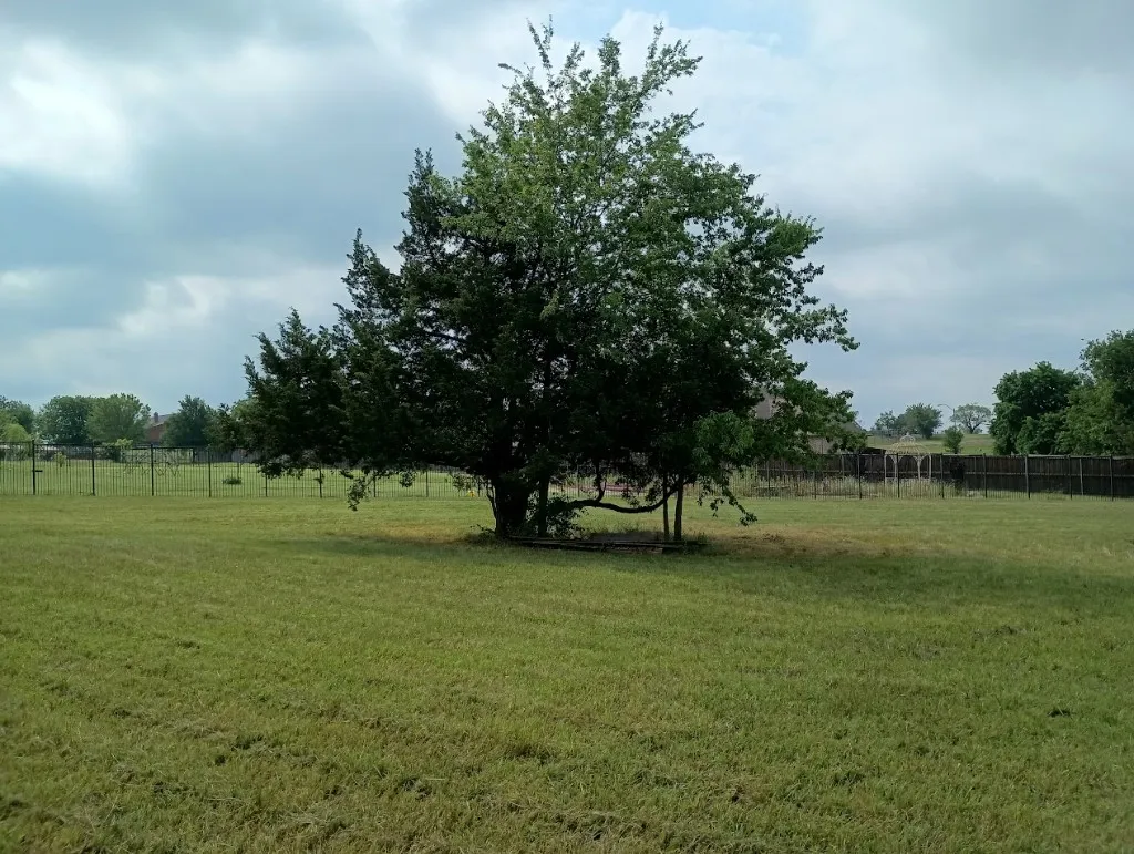 Unimproved Land For Sale in Cooke County , 3100 Briarcliff Circle, Gainesville, Texas 76240, 0, 0, Garage spaces, 0 Sqft, built in 0, Price $99,995, mls#20948524, Real Estate Agent in Gainesville, Homes For Sale in Cooke county, Homes For Sale in Gainesville, Realtor in Gainesville Texas, Real Estate Brokerage Independent Realty Texas, Luminita Cordes Realtor