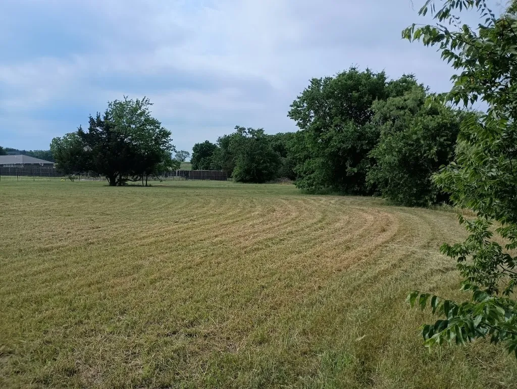 Unimproved Land For Sale in Cooke County , 3100 Briarcliff Circle, Gainesville, Texas 76240, 0, 0, Garage spaces, 0 Sqft, built in 0, Price $99,995, mls#20948524, Real Estate Agent in Gainesville, Homes For Sale in Cooke county, Homes For Sale in Gainesville, Realtor in Gainesville Texas, Real Estate Brokerage Independent Realty Texas, Luminita Cordes Realtor