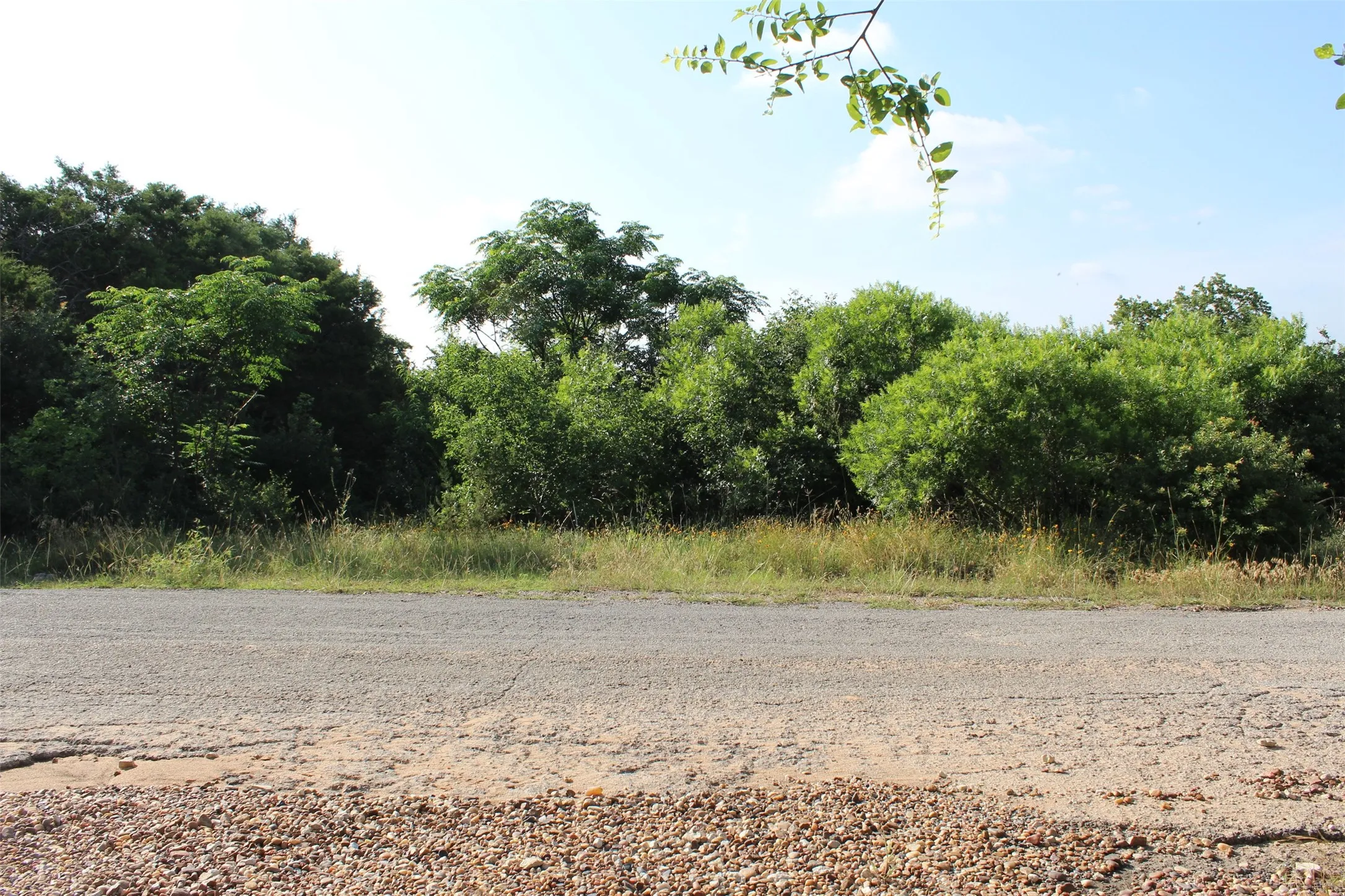 View of local wilderness