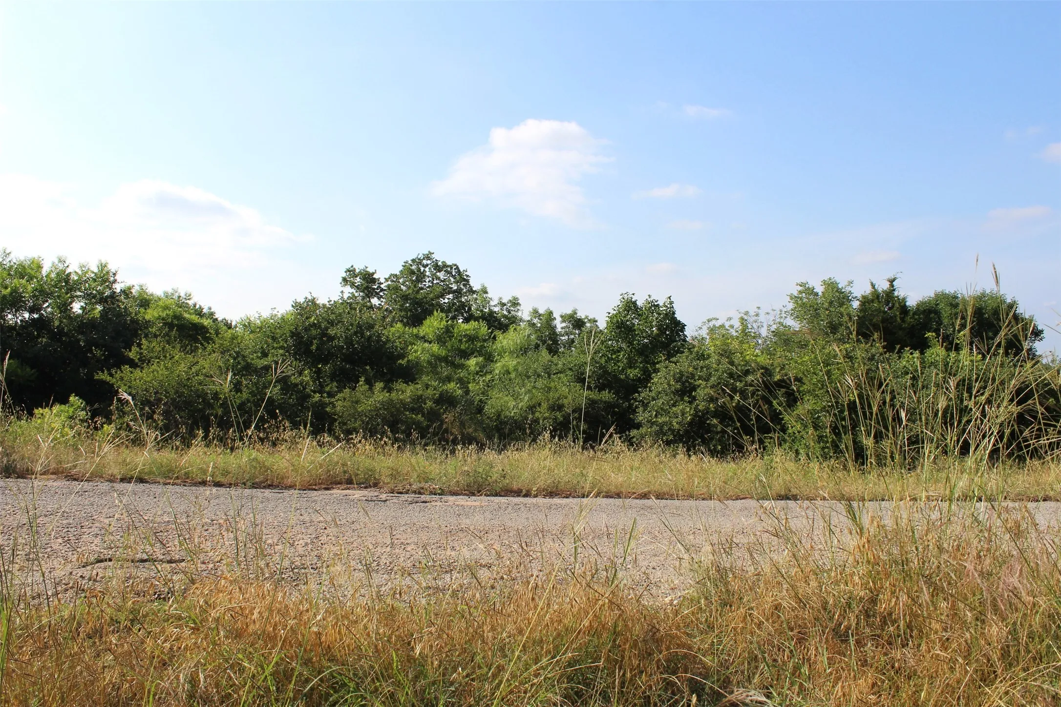 Unimproved Land For Sale in Hood County , 2704 Brazos River Drive, Granbury, Texas 76048, 0, 0, Garage spaces, 0 Sqft, built in 0, mls#20948652, Real Estate Agent in Granbury, Homes For Sale in Hood county, Homes For Sale in Granbury, Realtor in Granbury Texas, Real Estate Brokerage Independent Realty Texas, Luminita Cordes Realtor