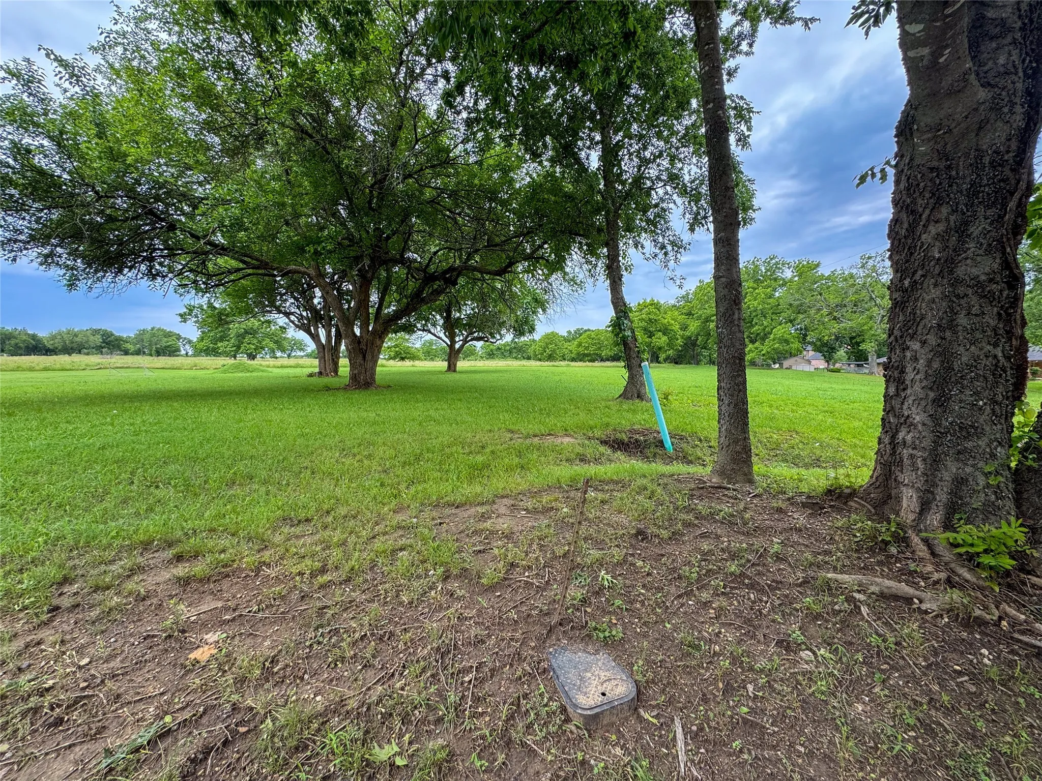 Unimproved Land For Sale in Grayson County , 2904 W Washington Street, Sherman, Texas 75092, 0, 0, Garage spaces, 0 Sqft, built in 0, Price $159,000, mls#20950282, Real Estate Agent in Sherman, Homes For Sale in Grayson county, Homes For Sale in Sherman, Realtor in Sherman Texas, Real Estate Brokerage Independent Realty Texas, Luminita Cordes Realtor