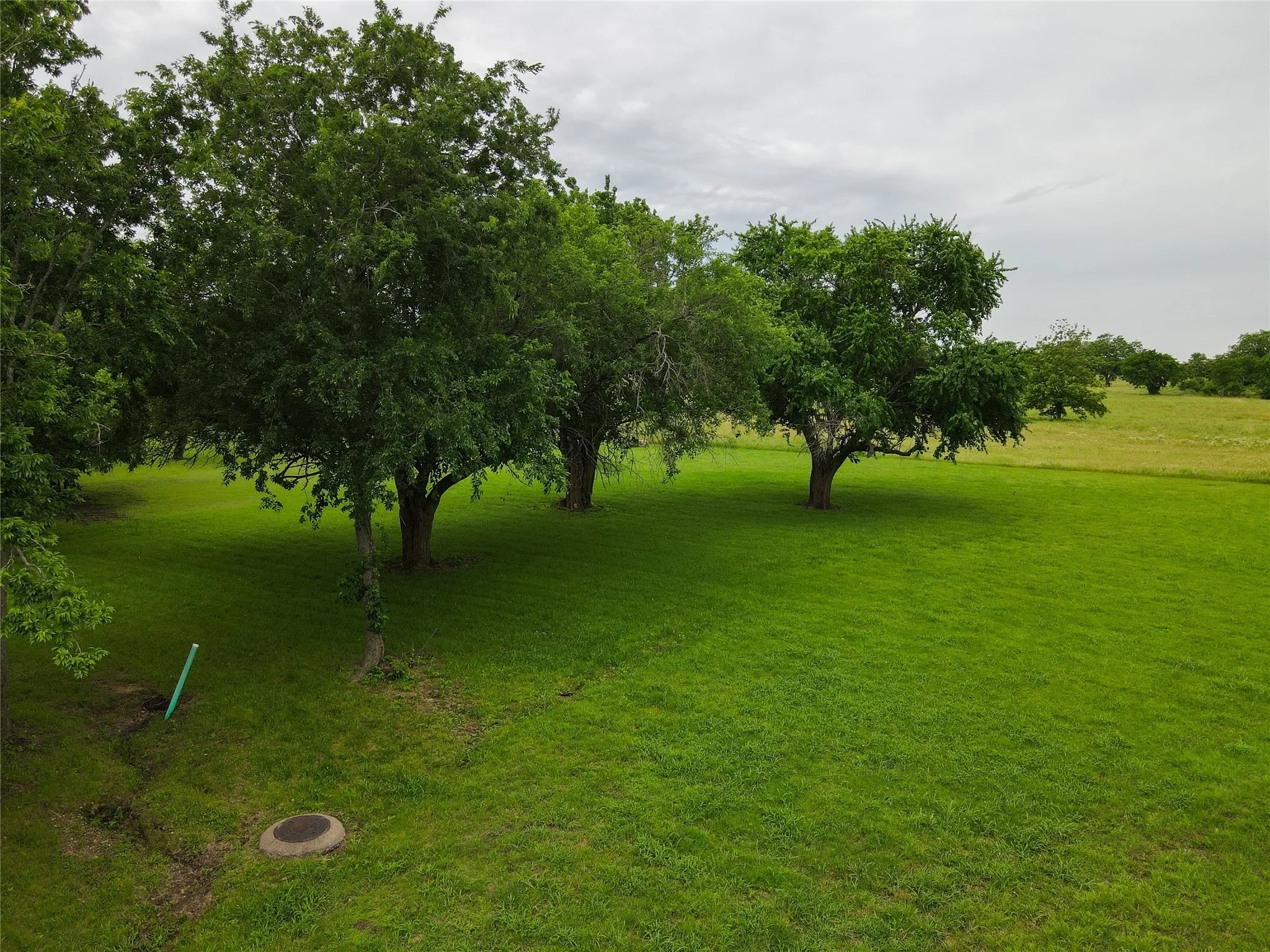 Unimproved Land For Sale in Grayson County , 2904 W Washington Street, Sherman, Texas 75092, 0, 0, Garage spaces, 0 Sqft, built in 0, Price $159,000, mls#20950282, Real Estate Agent in Sherman, Homes For Sale in Grayson county, Homes For Sale in Sherman, Realtor in Sherman Texas, Real Estate Brokerage Independent Realty Texas, Luminita Cordes Realtor