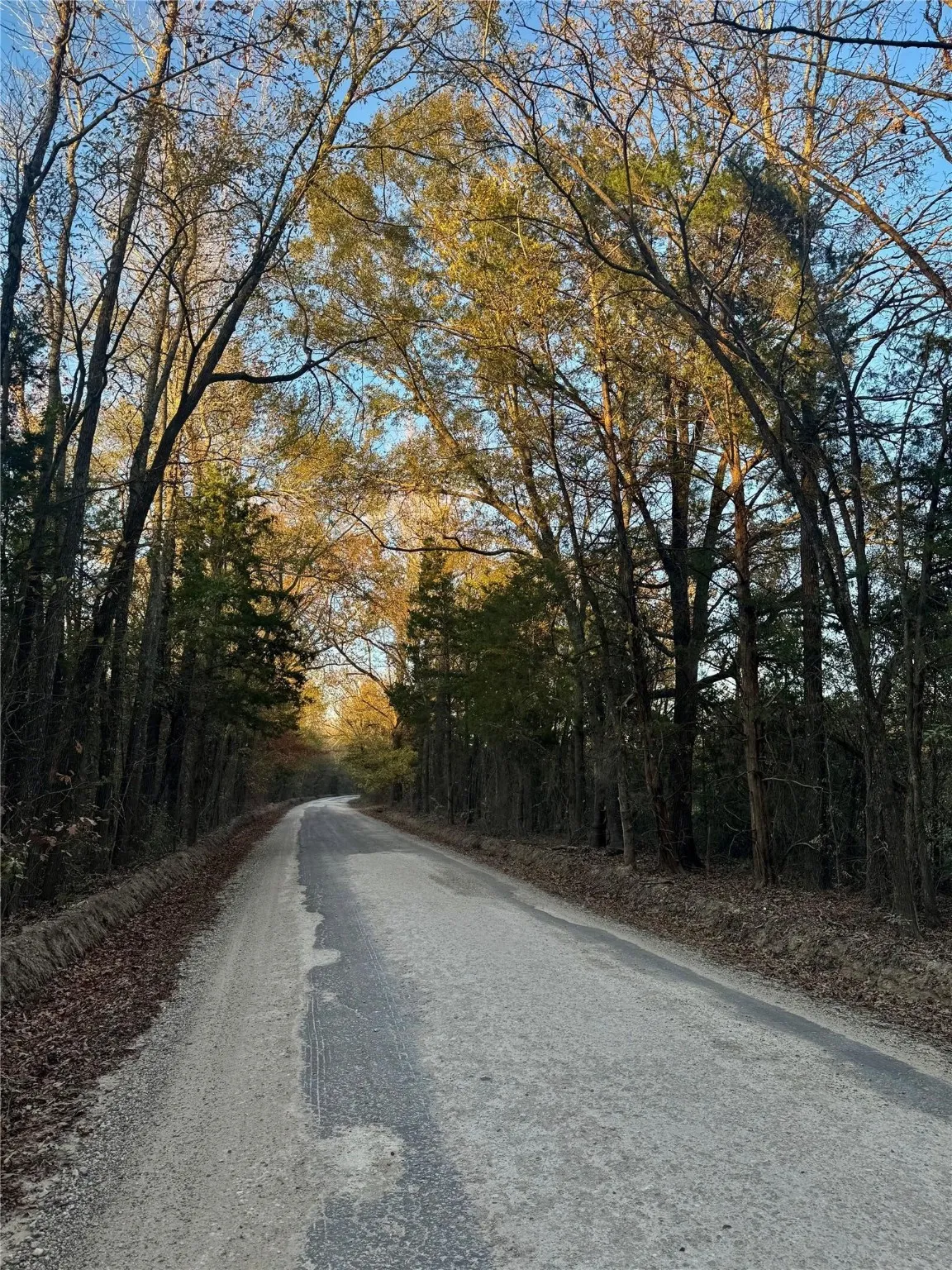 Unimproved Land For Sale in Red River (TX) County , tract A County Road 1412, Bogata, Texas 75426, 0, 0, Garage spaces, 0 Sqft, built in 0, Price $328,000, mls#20950195, Real Estate Agent in Bogata, Homes For Sale in Red River (TX) county, Homes For Sale in Bogata, Realtor in Bogata Texas, Real Estate Brokerage Independent Realty Texas, Luminita Cordes Realtor