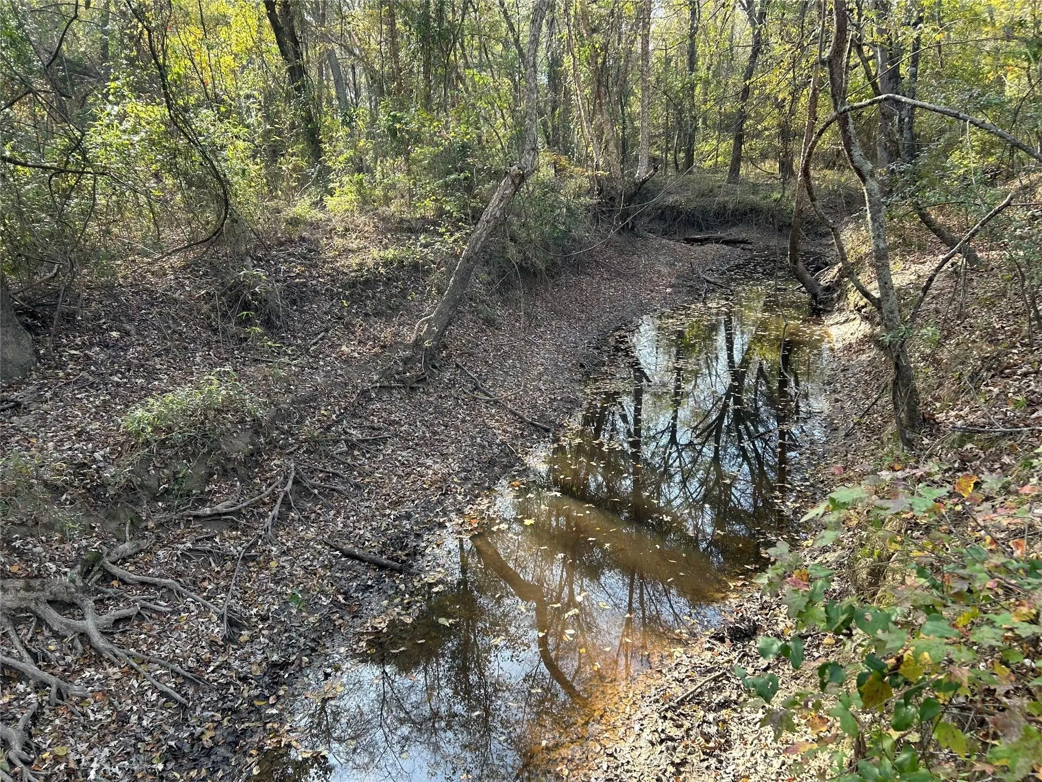 Unimproved Land For Sale in Red River (TX) County , tract A County Road 1412, Bogata, Texas 75426, 0, 0, Garage spaces, 0 Sqft, built in 0, Price $328,000, mls#20950195, Real Estate Agent in Bogata, Homes For Sale in Red River (TX) county, Homes For Sale in Bogata, Realtor in Bogata Texas, Real Estate Brokerage Independent Realty Texas, Luminita Cordes Realtor