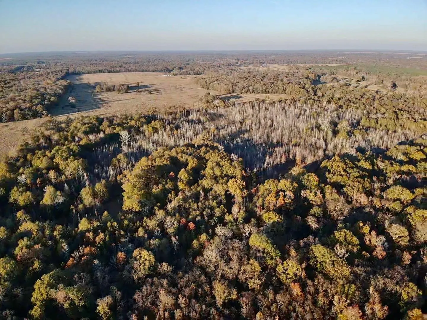 Unimproved Land For Sale in Red River (TX) County , tract A County Road 1412, Bogata, Texas 75426, 0, 0, Garage spaces, 0 Sqft, built in 0, Price $328,000, mls#20950195, Real Estate Agent in Bogata, Homes For Sale in Red River (TX) county, Homes For Sale in Bogata, Realtor in Bogata Texas, Real Estate Brokerage Independent Realty Texas, Luminita Cordes Realtor