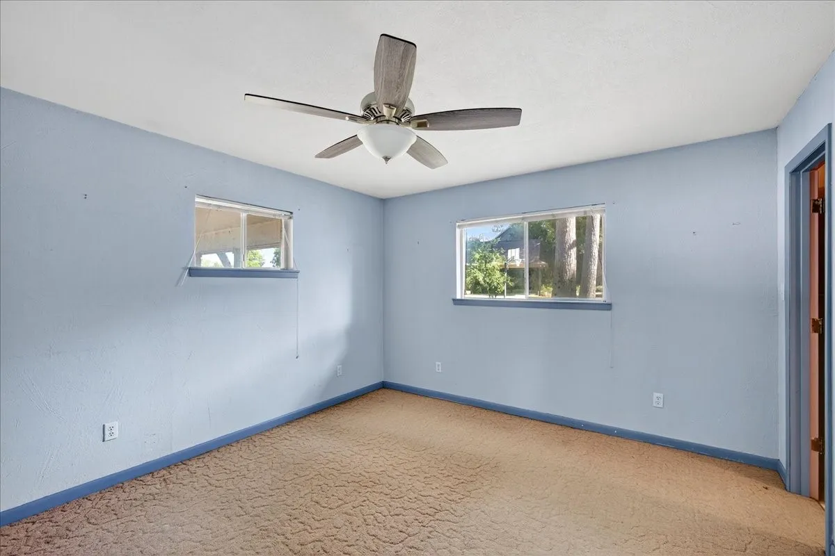 Carpeted empty room featuring plenty of natural light and ceiling fan