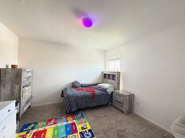 Carpeted bedroom featuring a textured ceiling