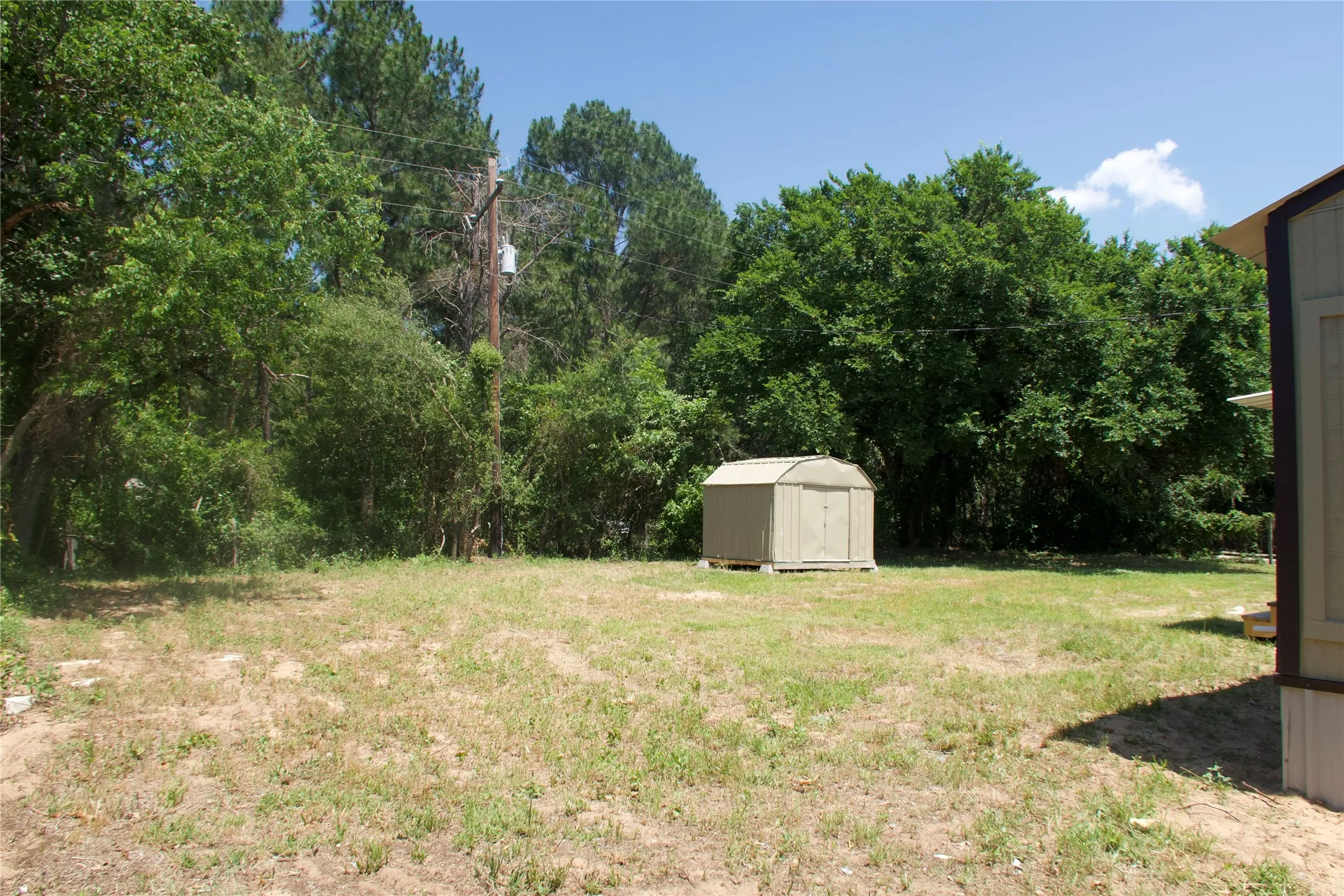 View of grassy yard