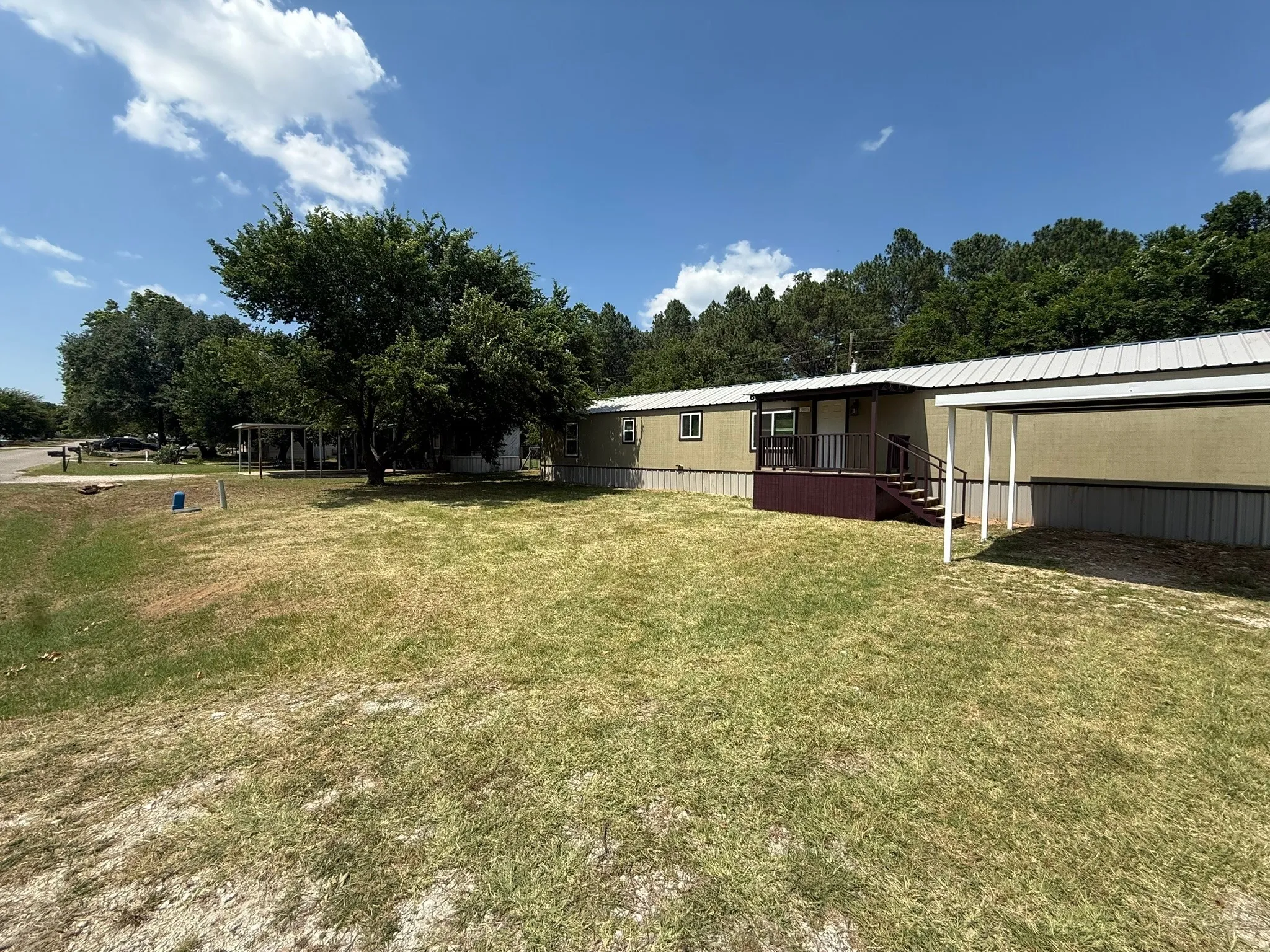 View of grassy yard