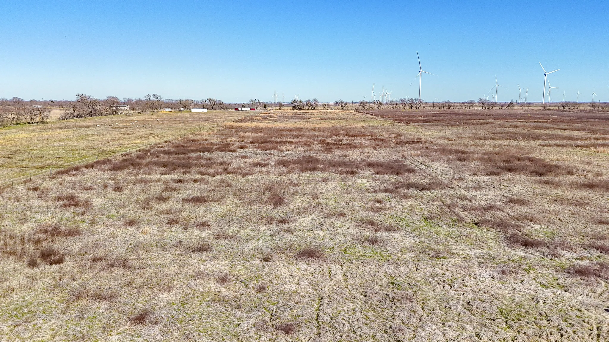 Unimproved Land For Sale in Navarro County , TBD SW CR 4050, Dawson, Texas 76639, 0, 0, Garage spaces, 0 Sqft, built in 0, Price $145,000, mls#20952518, Real Estate Agent in Dawson, Homes For Sale in Navarro county, Homes For Sale in Dawson, Realtor in Dawson Texas, Real Estate Brokerage Independent Realty Texas, Luminita Cordes Realtor