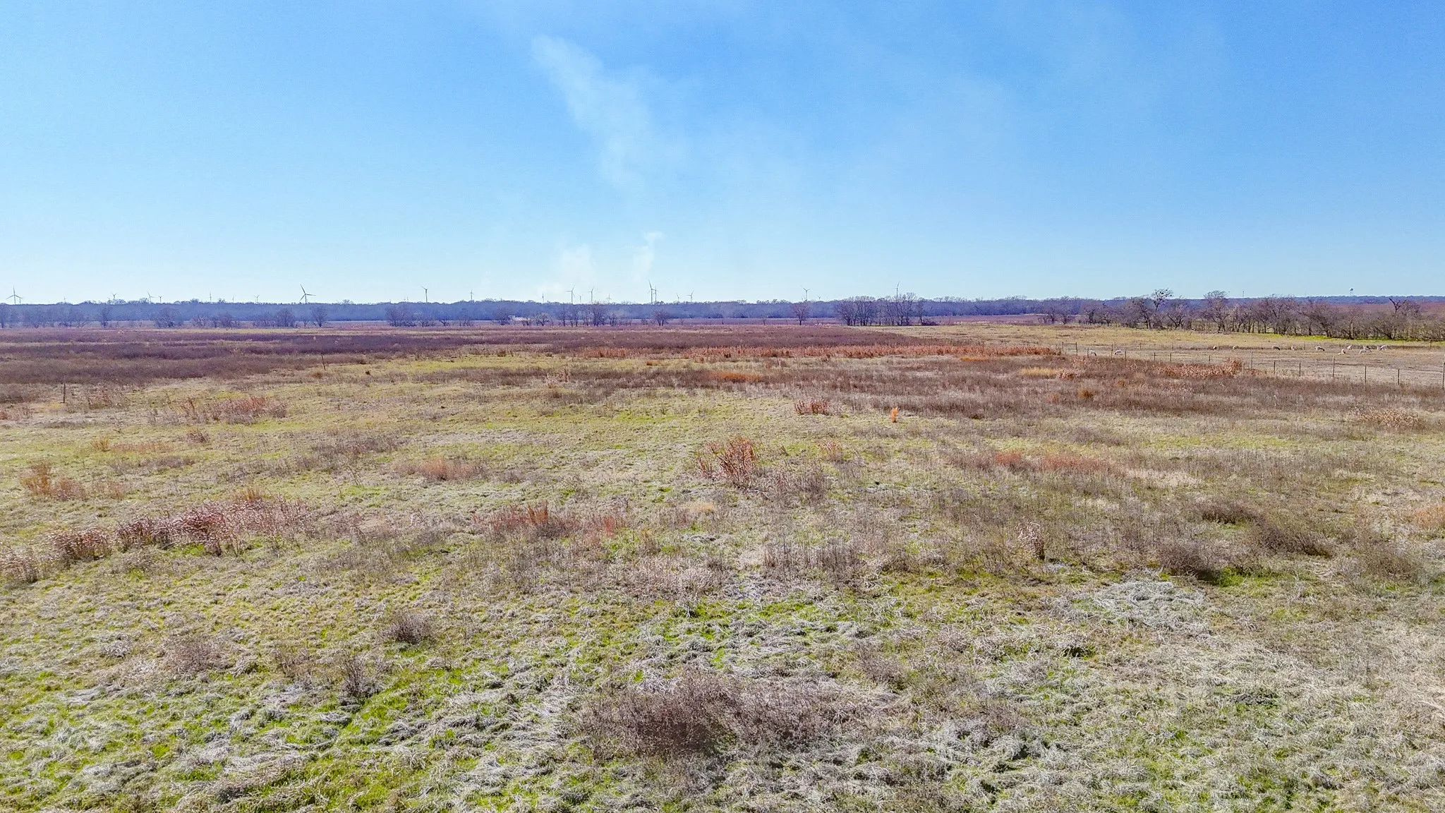 Unimproved Land For Sale in Navarro County , TBD SW CR 4050, Dawson, Texas 76639, 0, 0, Garage spaces, 0 Sqft, built in 0, Price $145,000, mls#20952518, Real Estate Agent in Dawson, Homes For Sale in Navarro county, Homes For Sale in Dawson, Realtor in Dawson Texas, Real Estate Brokerage Independent Realty Texas, Luminita Cordes Realtor