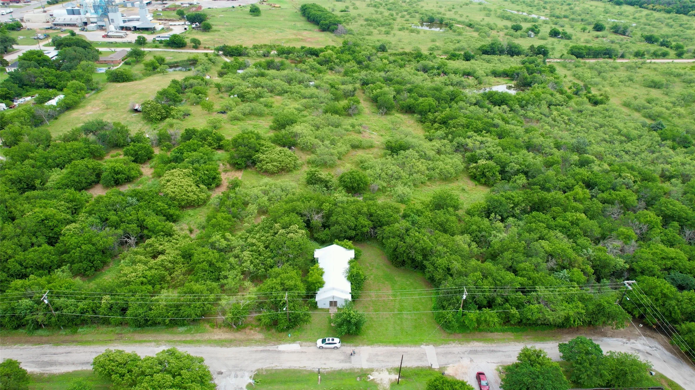 Aerial view of a forest
