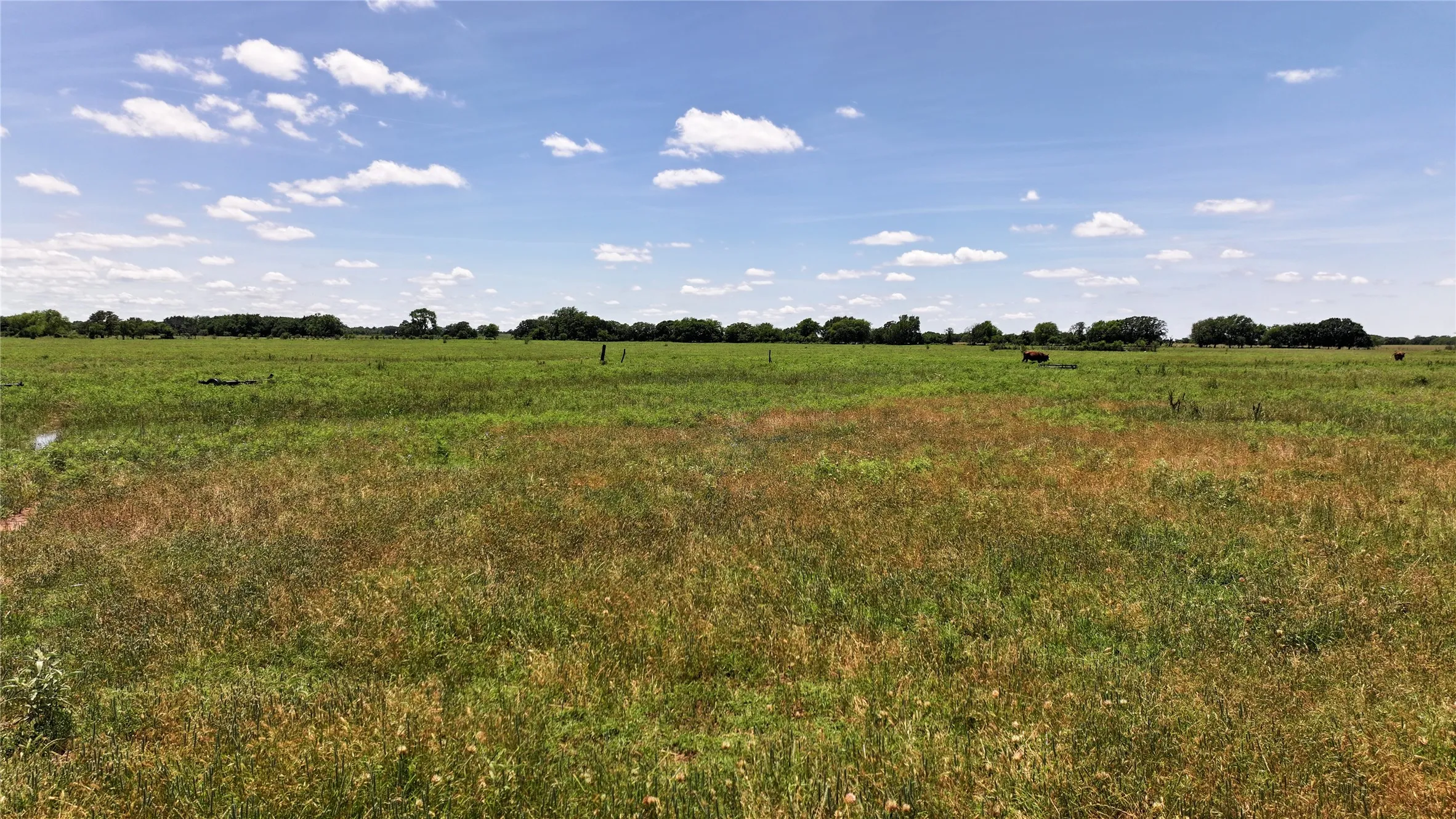 Improved Land For Sale in Montague County , 1409 Flagley Road, Nocona, Texas 76255, 0, 0, Garage spaces, 0 Sqft, built in 1954, Price $619,900, mls#20953911, Real Estate Agent in Nocona, Homes For Sale in Montague county, Homes For Sale in Nocona, Realtor in Nocona Texas, Real Estate Brokerage Independent Realty Texas, Luminita Cordes Realtor